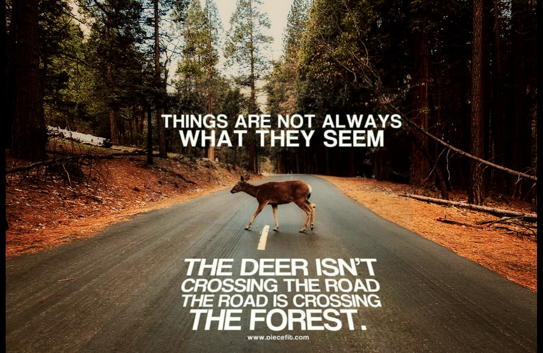 Scherm­afbeelding 2026-03-26 om 13.16.39.png