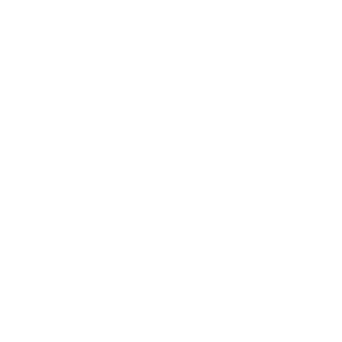 neve_logo.png