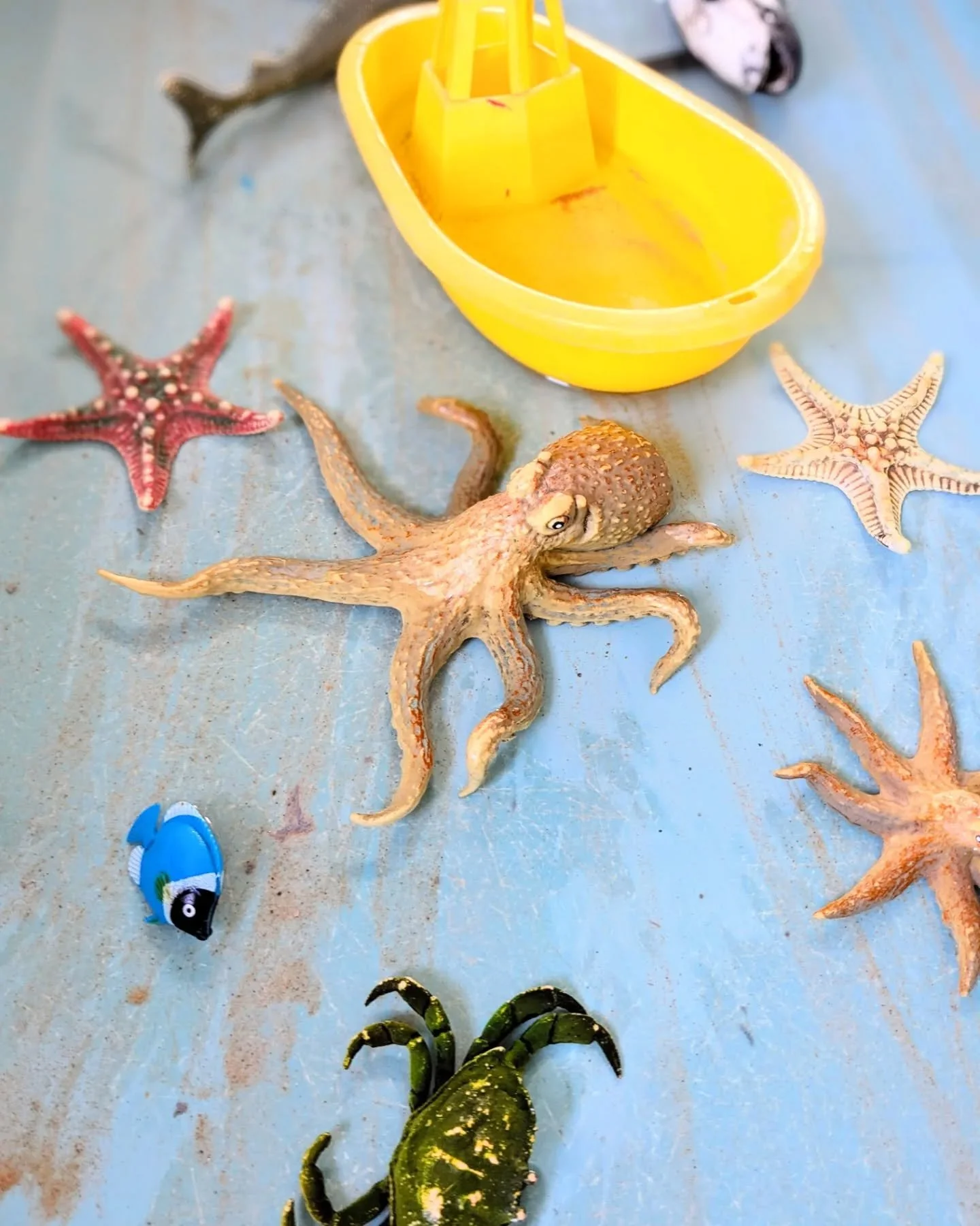 A little snapshot of our week at preschool... 

1. Identifying different sea creatures in the water tray 🐙⭐🐳🦀

2. Experimenting with our own symbols and numerals in our exploration area 🔢

3. Sing along CDs and books providing some musical fun du