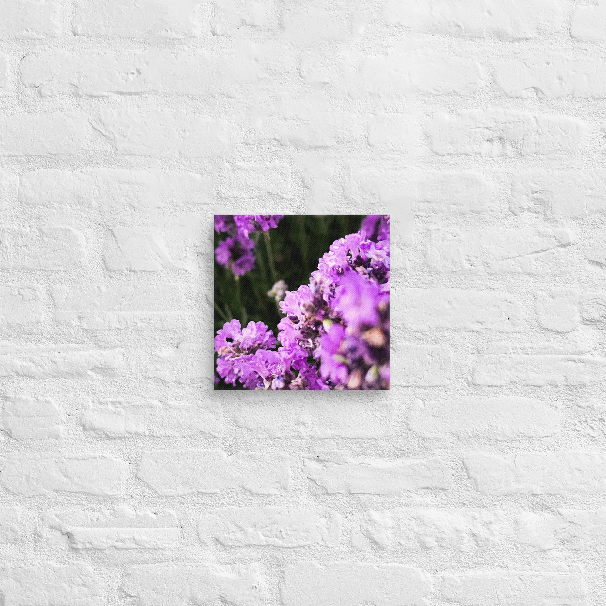 canvas-(in)-10x10-front-67feabc0db3f2.jpg