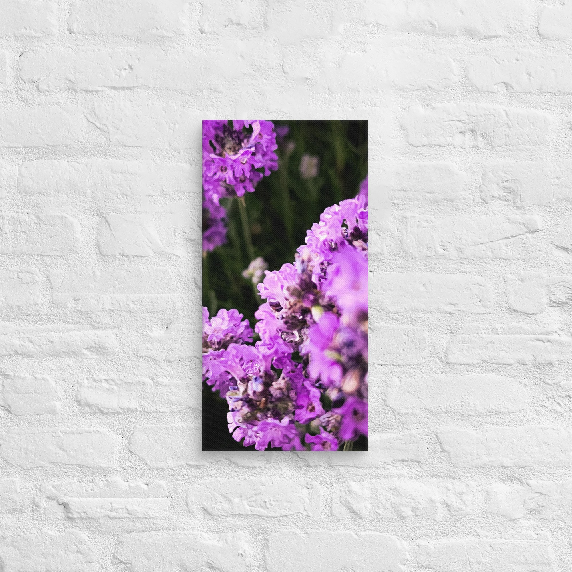 canvas-(in)-10x20-front-67feabc0db4f6.jpg
