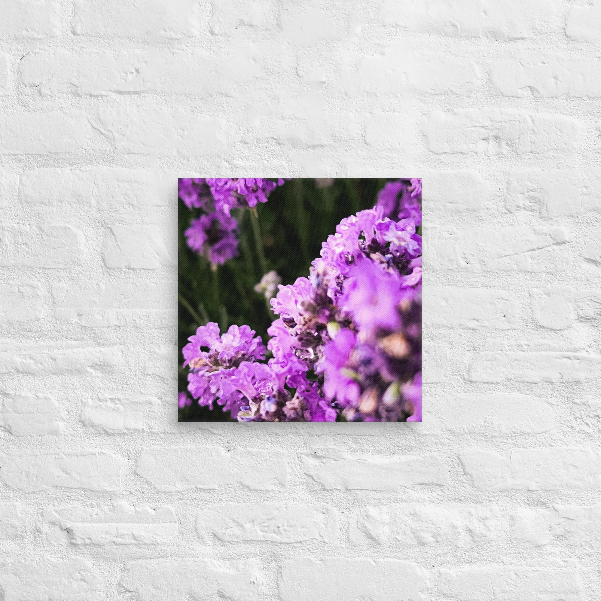 canvas-(in)-14x14-front-67feabc0db718.jpg