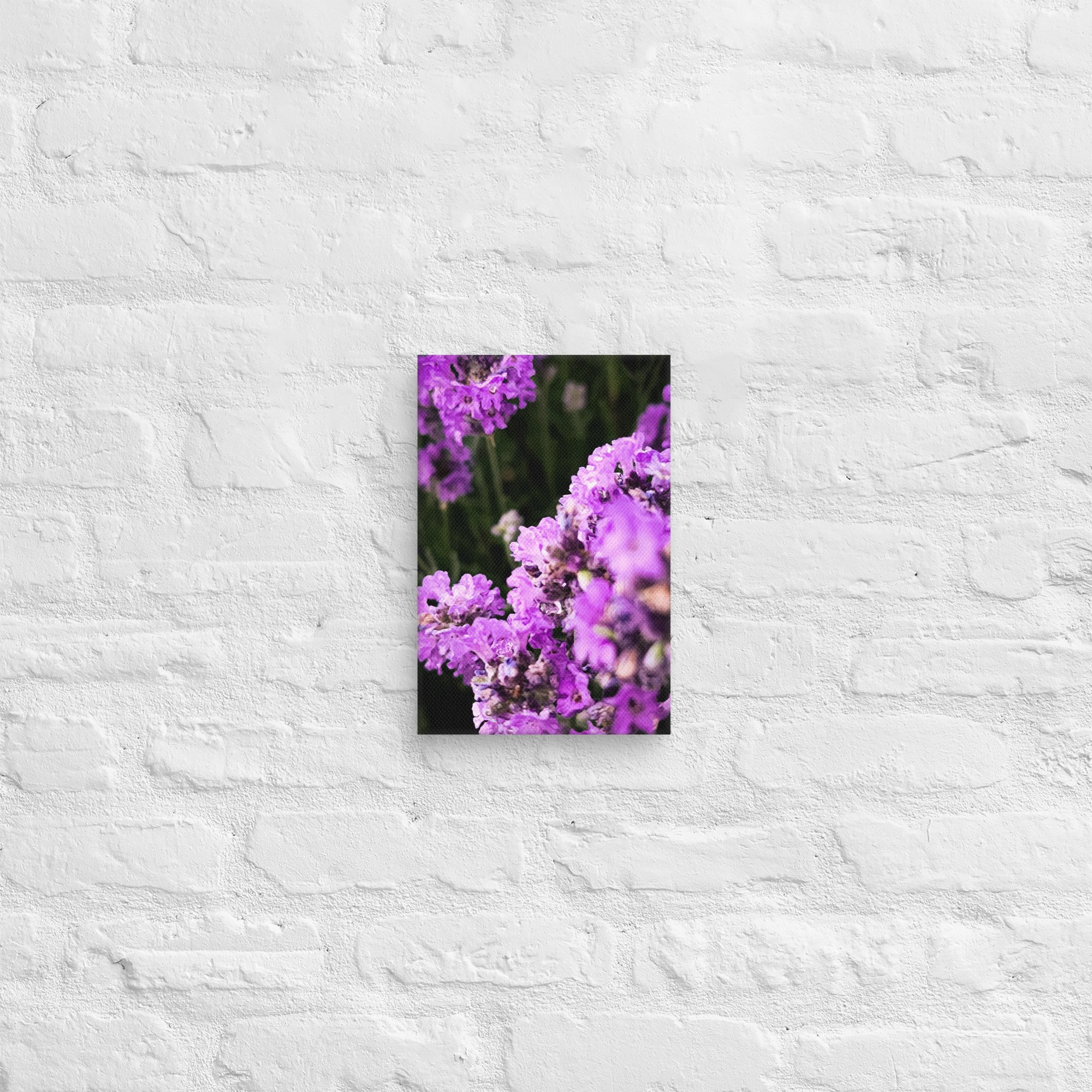 canvas-(in)-8x12-front-67feabc0db93b.jpg