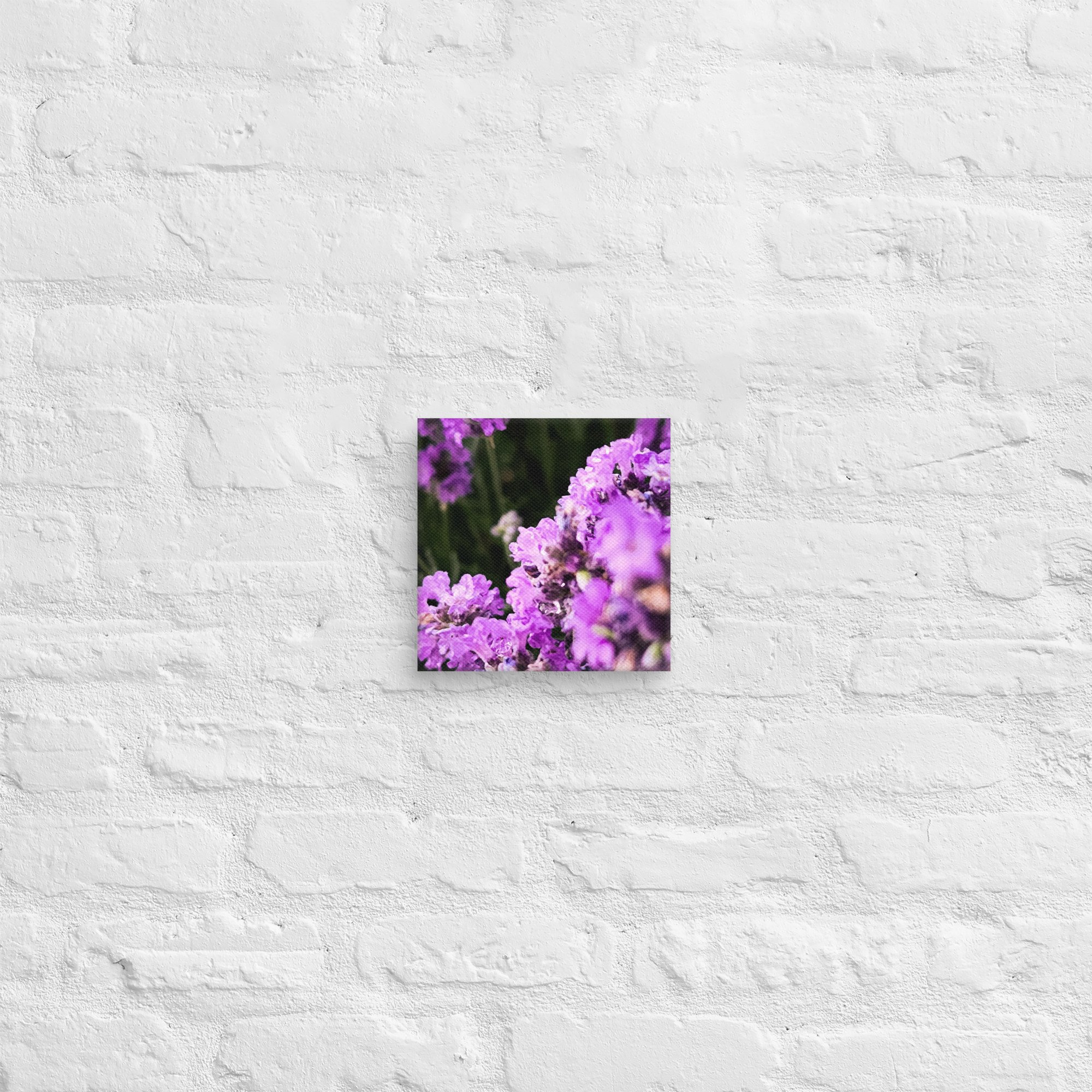 canvas-(in)-8x8-front-67feabc0dba11.jpg