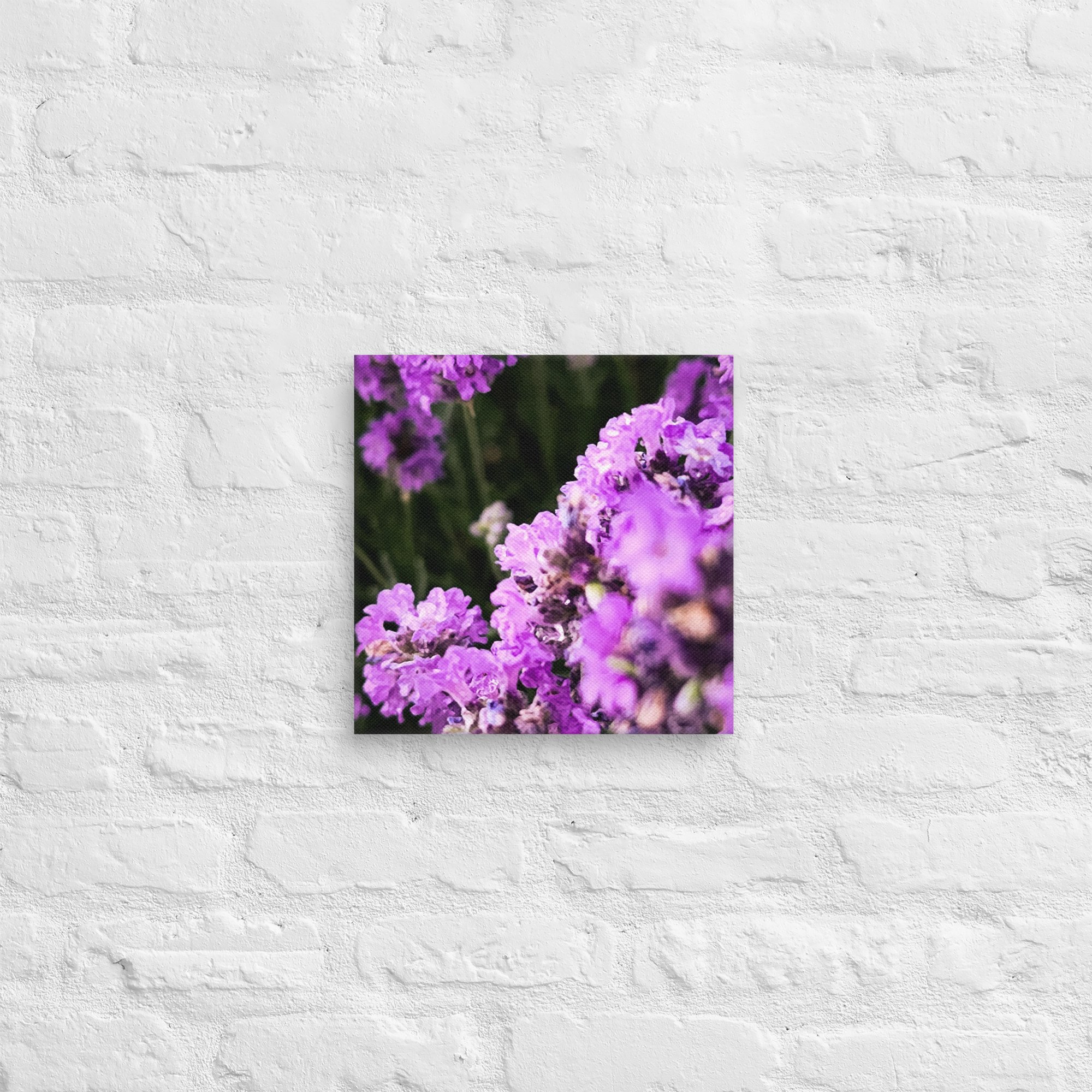 canvas-(in)-12x12-front-67feabc0dbbaa.jpg