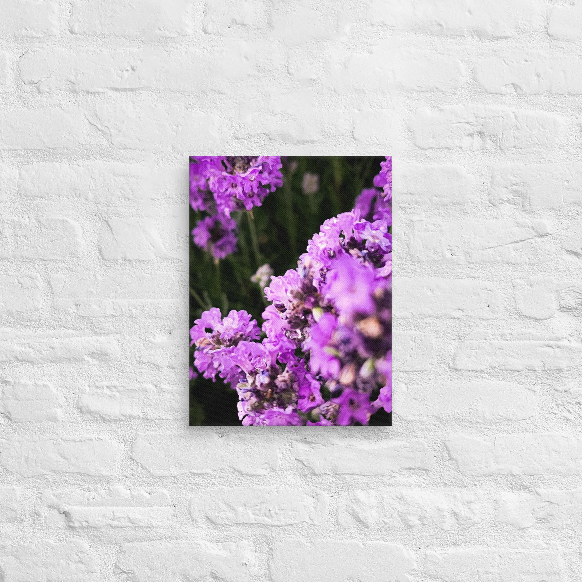 canvas-(in)-12x16-front-67feabc0dbc24.jpg