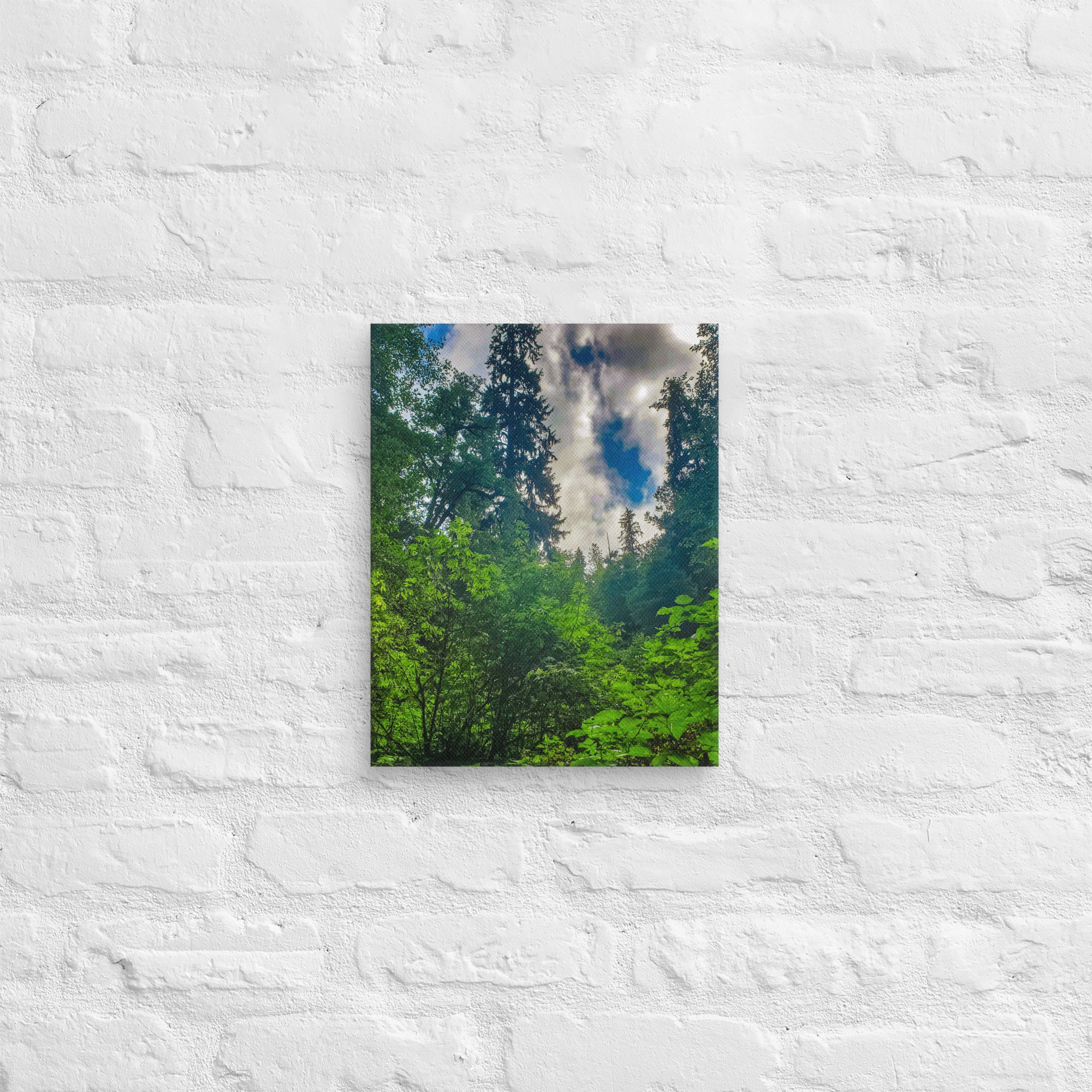 canvas-(in)-11x14-front-67feac8a277f9.jpg