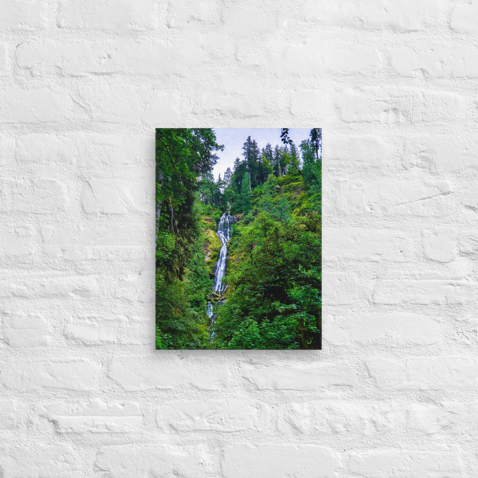 canvas-(in)-12x16-front-67feac982b39e.jpg