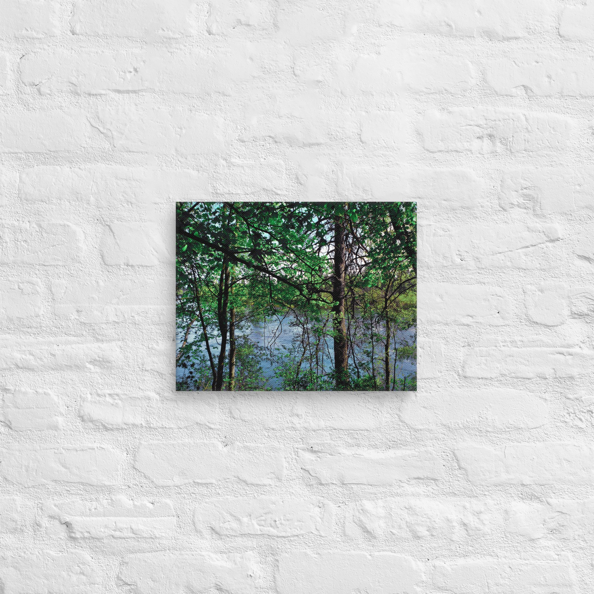 canvas-(in)-11x14-front-67feacfd8c48c.jpg