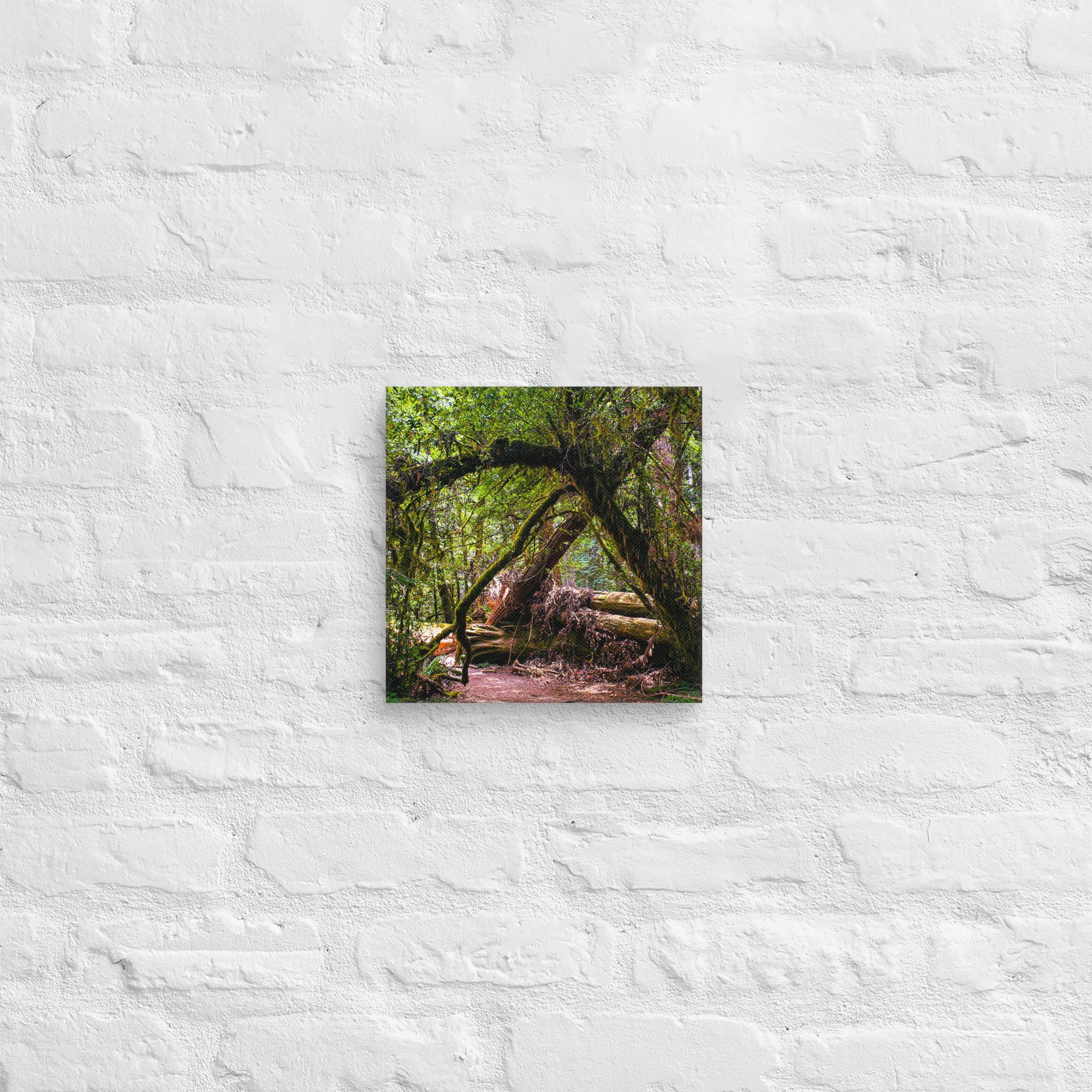 canvas-(in)-10x10-front-67feae023ff7a.jpg