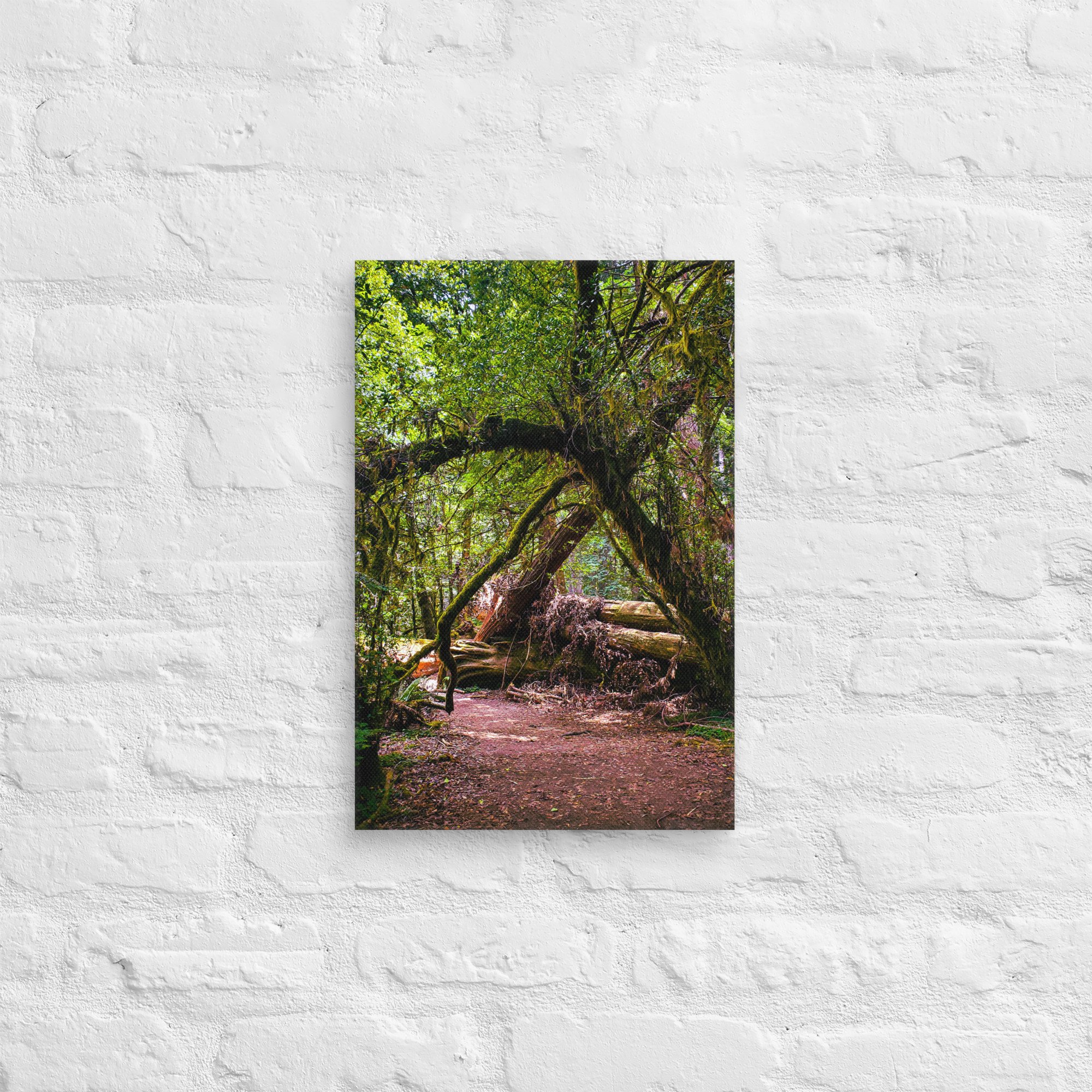canvas-(in)-12x18-front-67feae02400f4.jpg