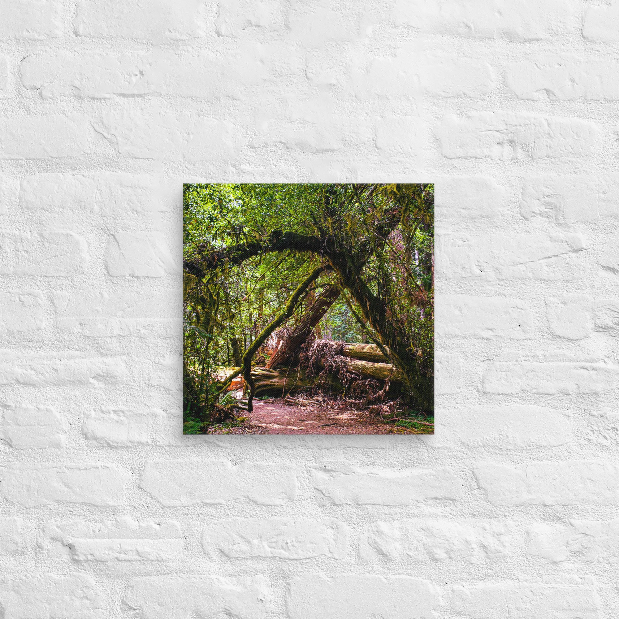 canvas-(in)-14x14-front-67feae0240151.jpg