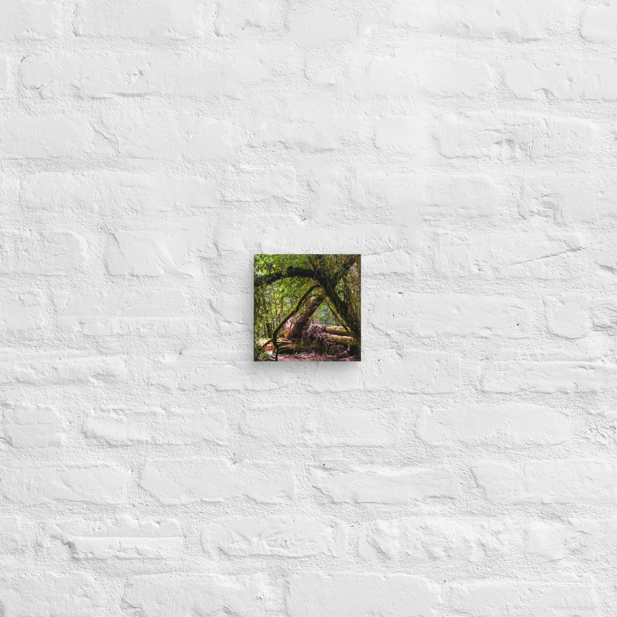 canvas-(in)-6x6-front-67feae02401b5.jpg