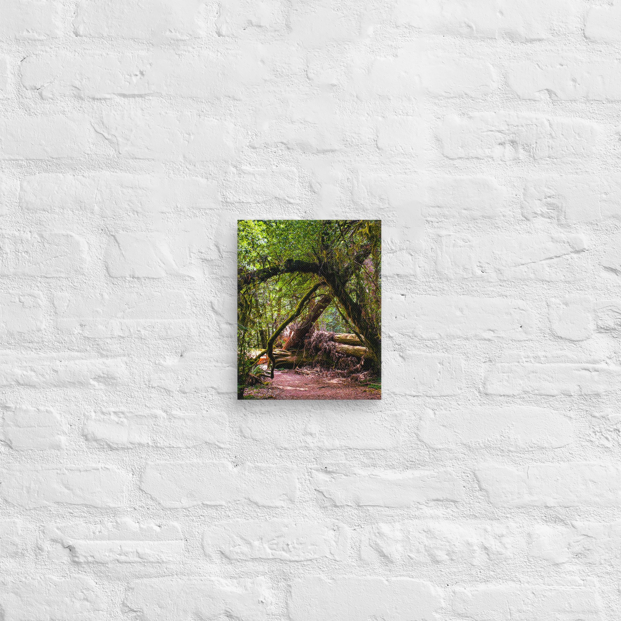 canvas-(in)-8x10-front-67feae0240241.jpg