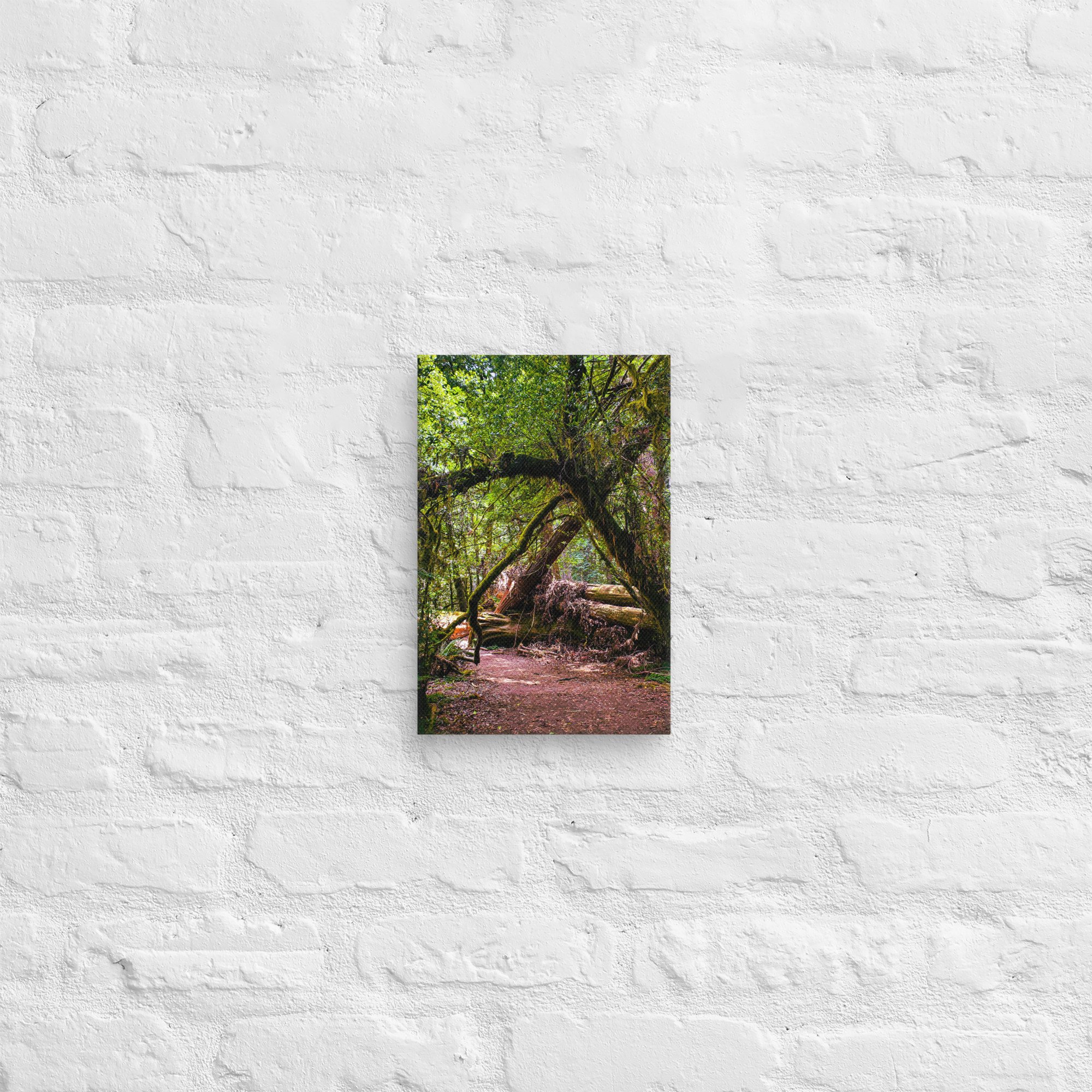canvas-(in)-8x12-front-67feae02402c8.jpg