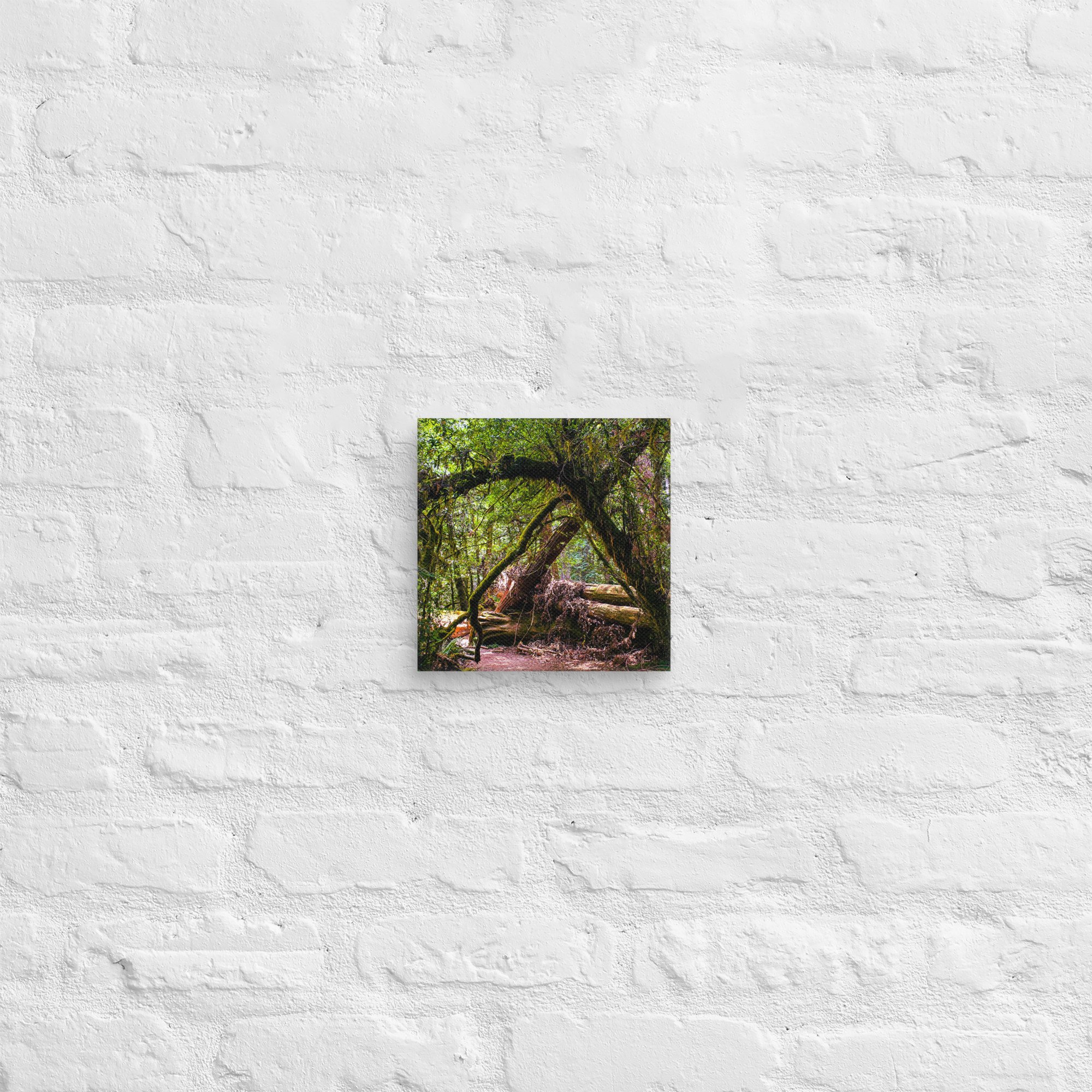 canvas-(in)-8x8-front-67feae0240352.jpg