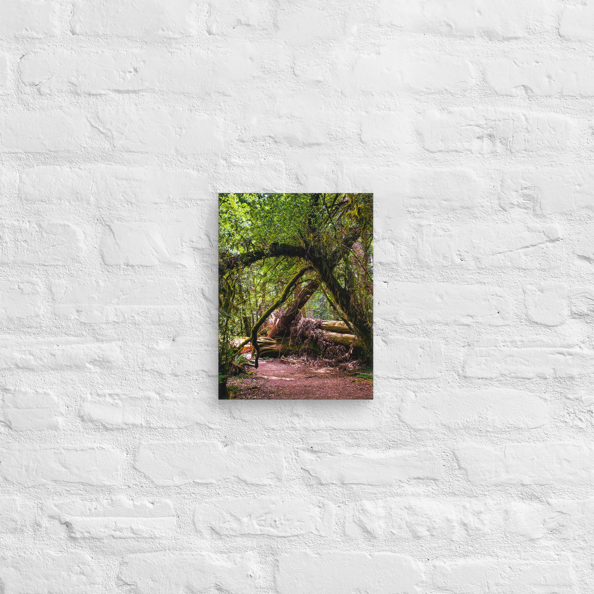 canvas-(in)-9x12-front-67feae02403cf.jpg