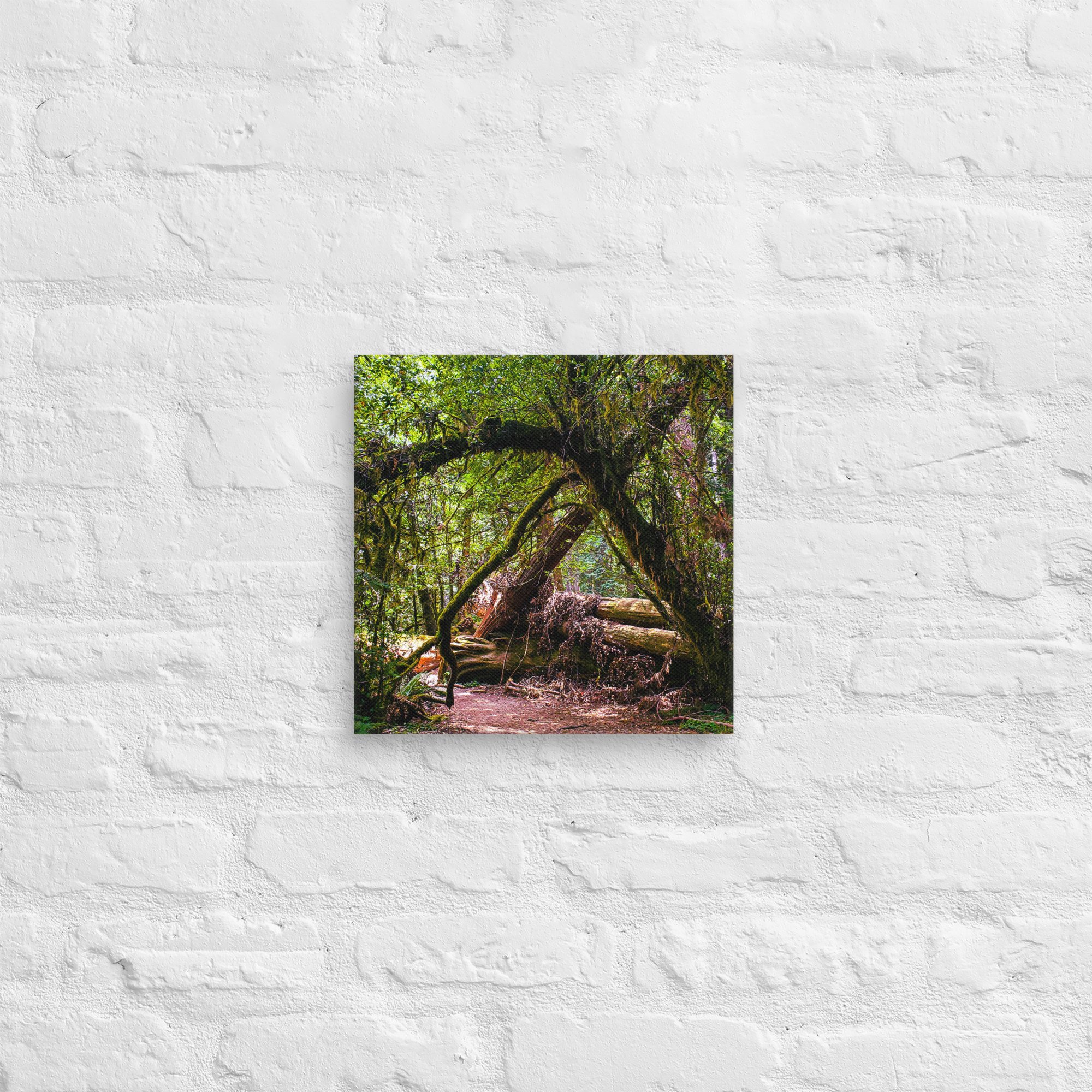 canvas-(in)-12x12-front-67feae0240478.jpg