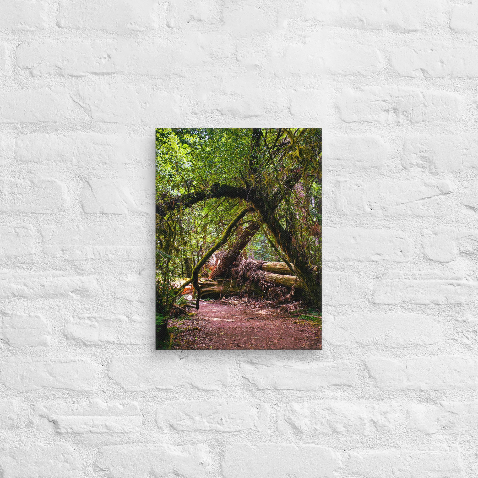canvas-(in)-12x16-front-67feae02404f7.jpg