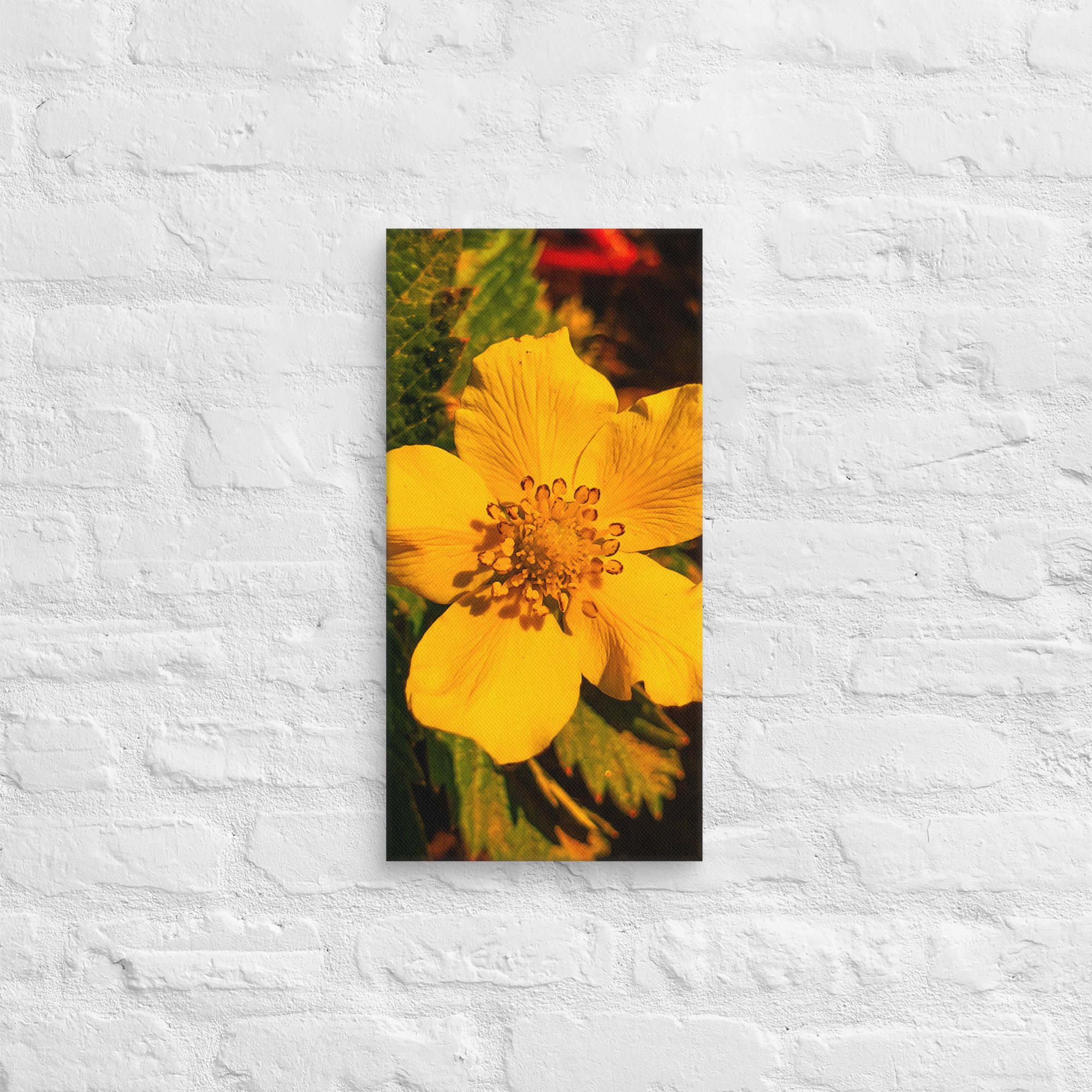 canvas-(in)-10x20-front-67feae4d6f978.jpg