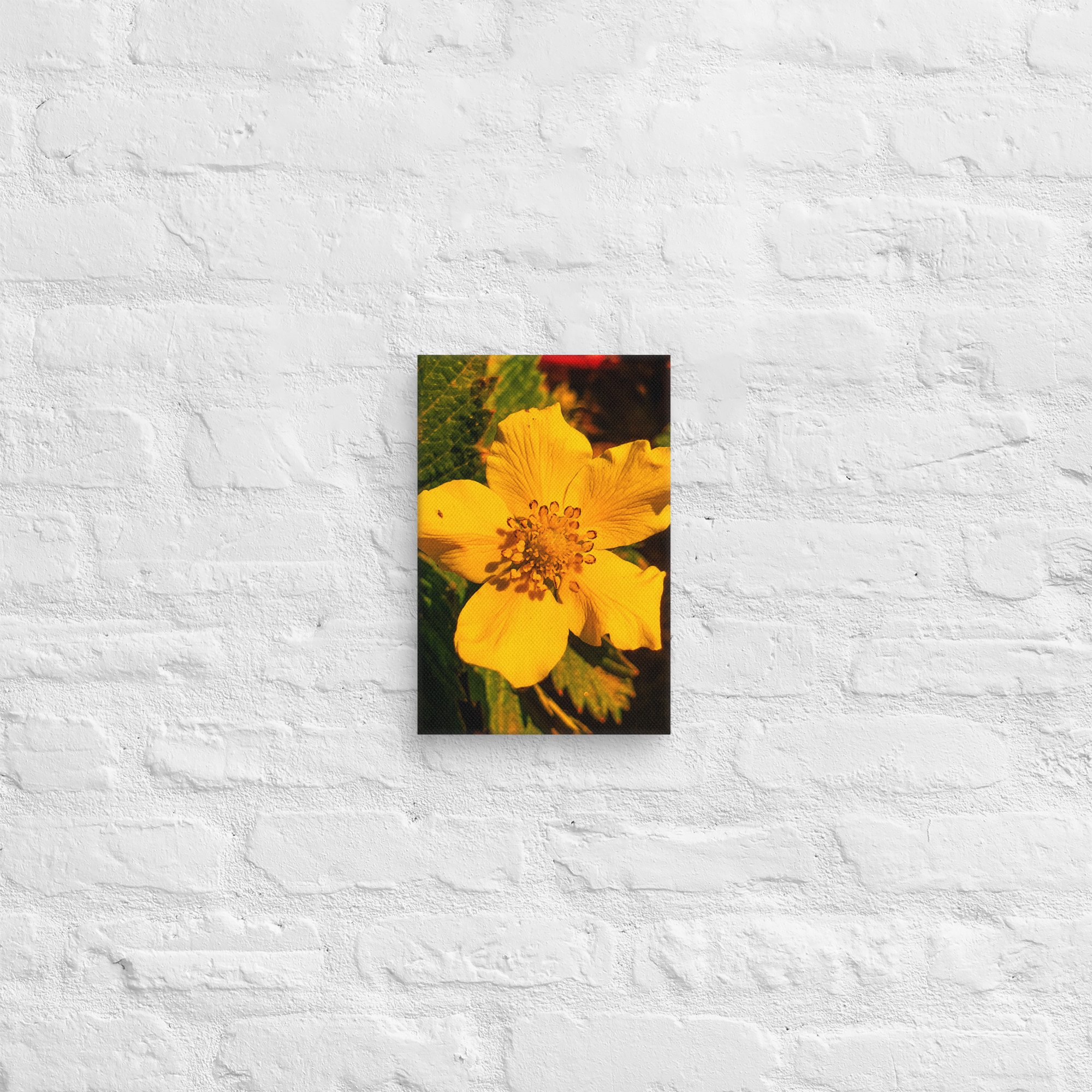 canvas-(in)-8x12-front-67feae4d6fb4b.jpg