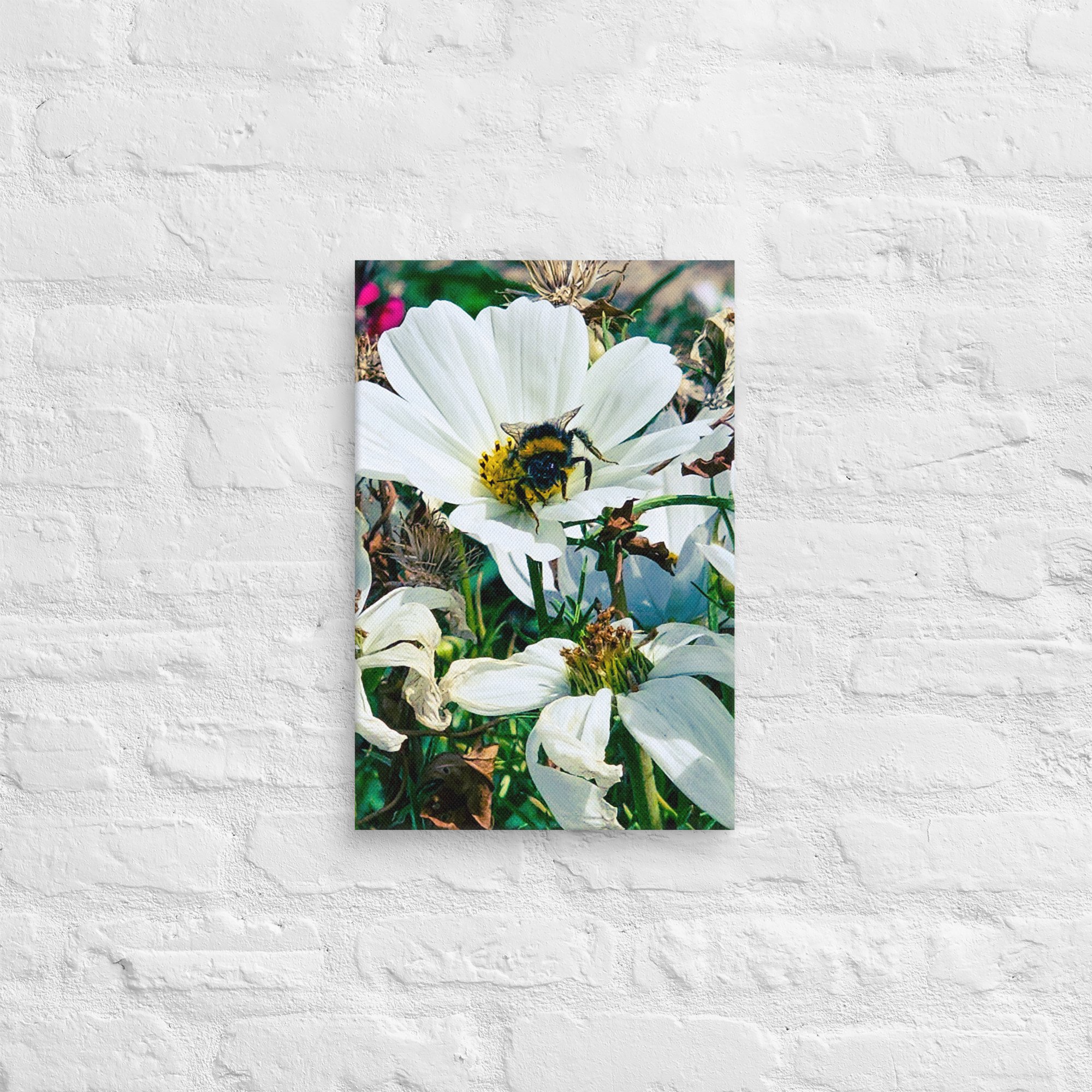 canvas-(in)-12x18-front-67feaec35f61d.jpg