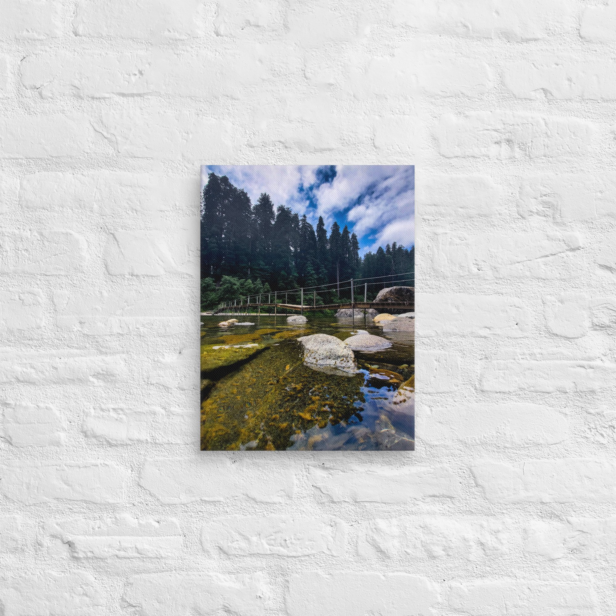 canvas-(in)-12x16-front-67feaf5900ac8.jpg