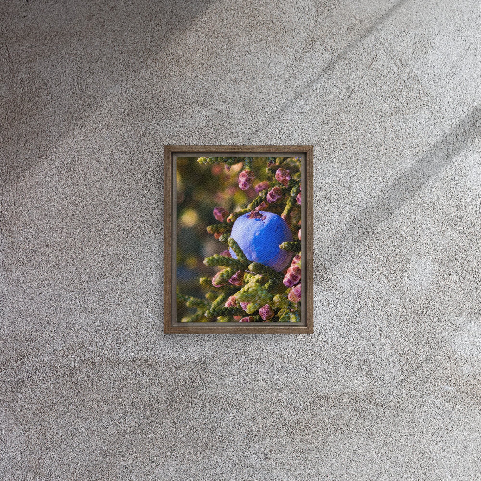 framed-canvas-(in)-brown-9x12-front-680a932e96b01.jpg