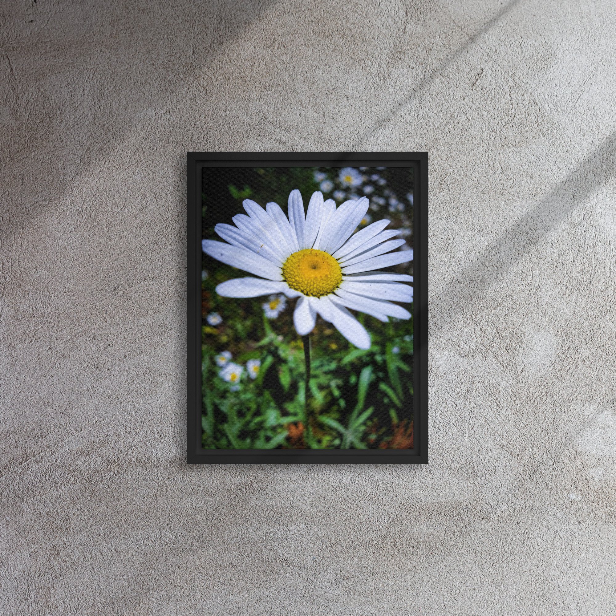 framed-canvas-(in)-black-12x16-front-680a9403deeb8.jpg