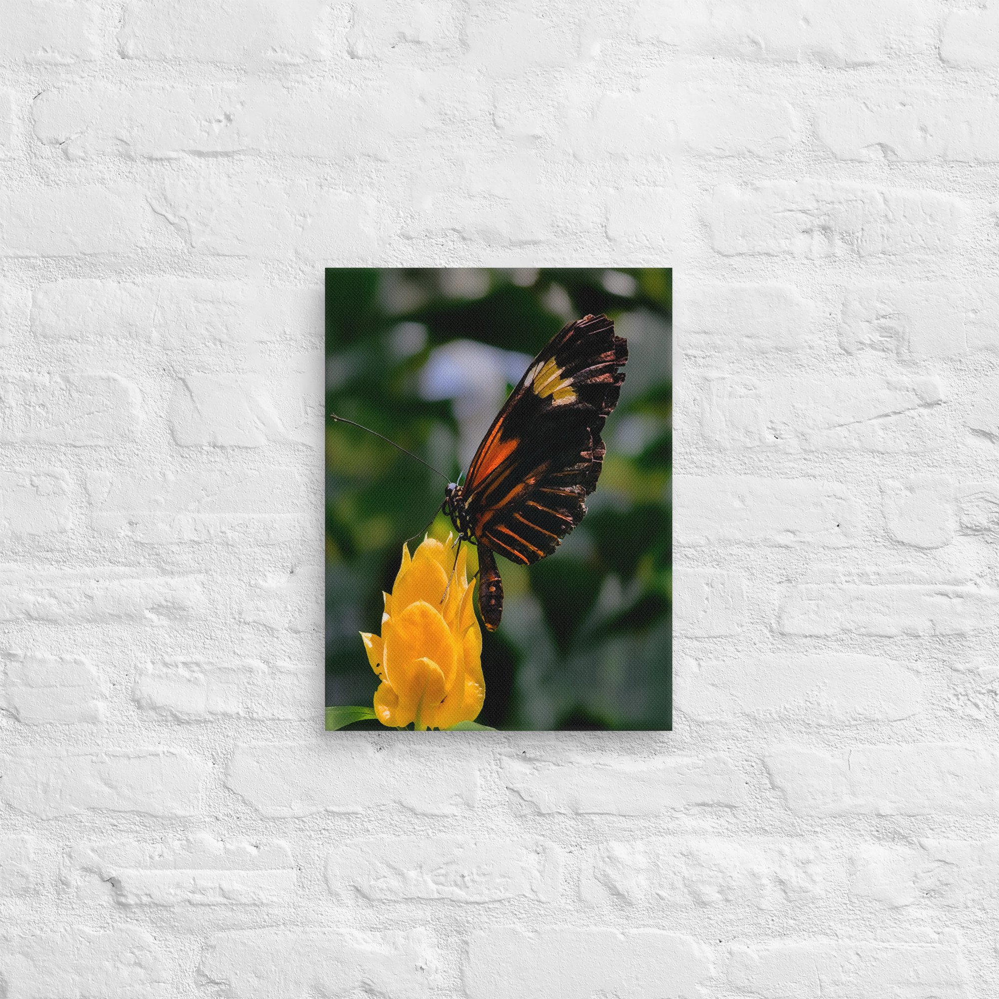 canvas-(in)-12x16-front-6828e1fe51200.jpg