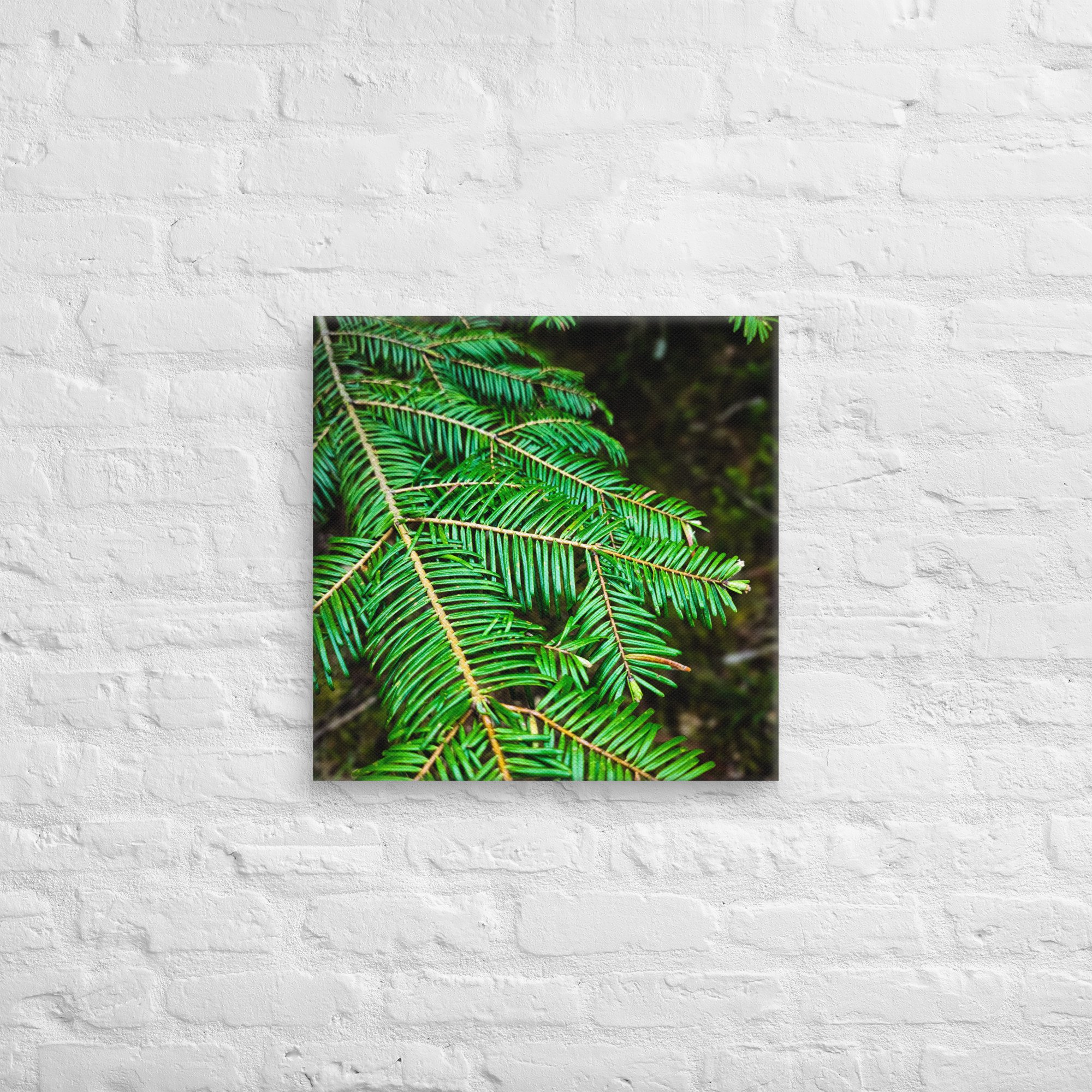 canvas-(in)-20x20-front-6828f0f1e2fc5.jpg