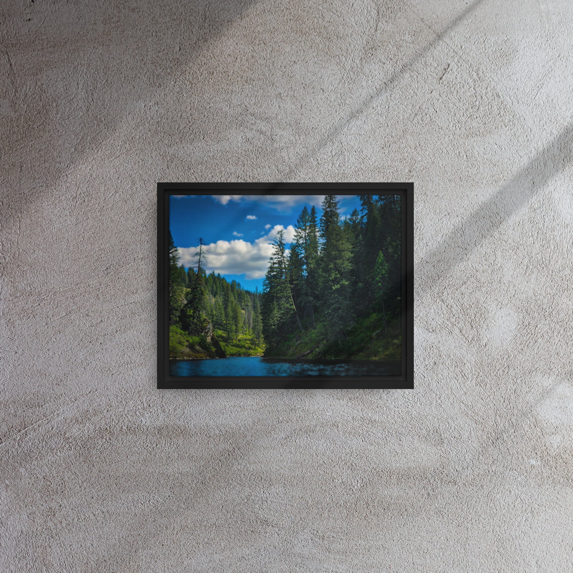 framed-canvas-(in)-black-11x14-front-6828f72b13ff6.jpg