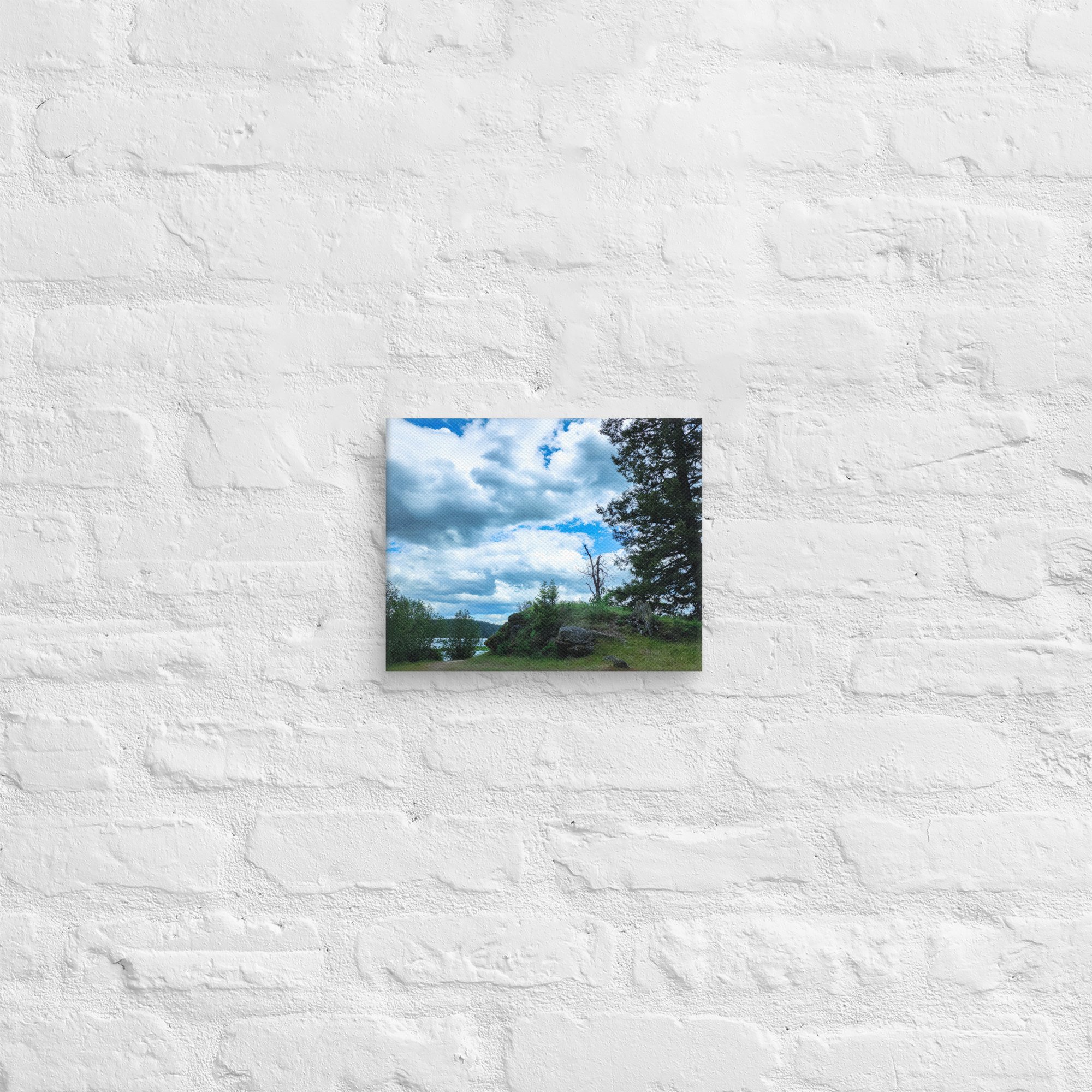 canvas-(in)-8x10-front-682a74725b51f.jpg