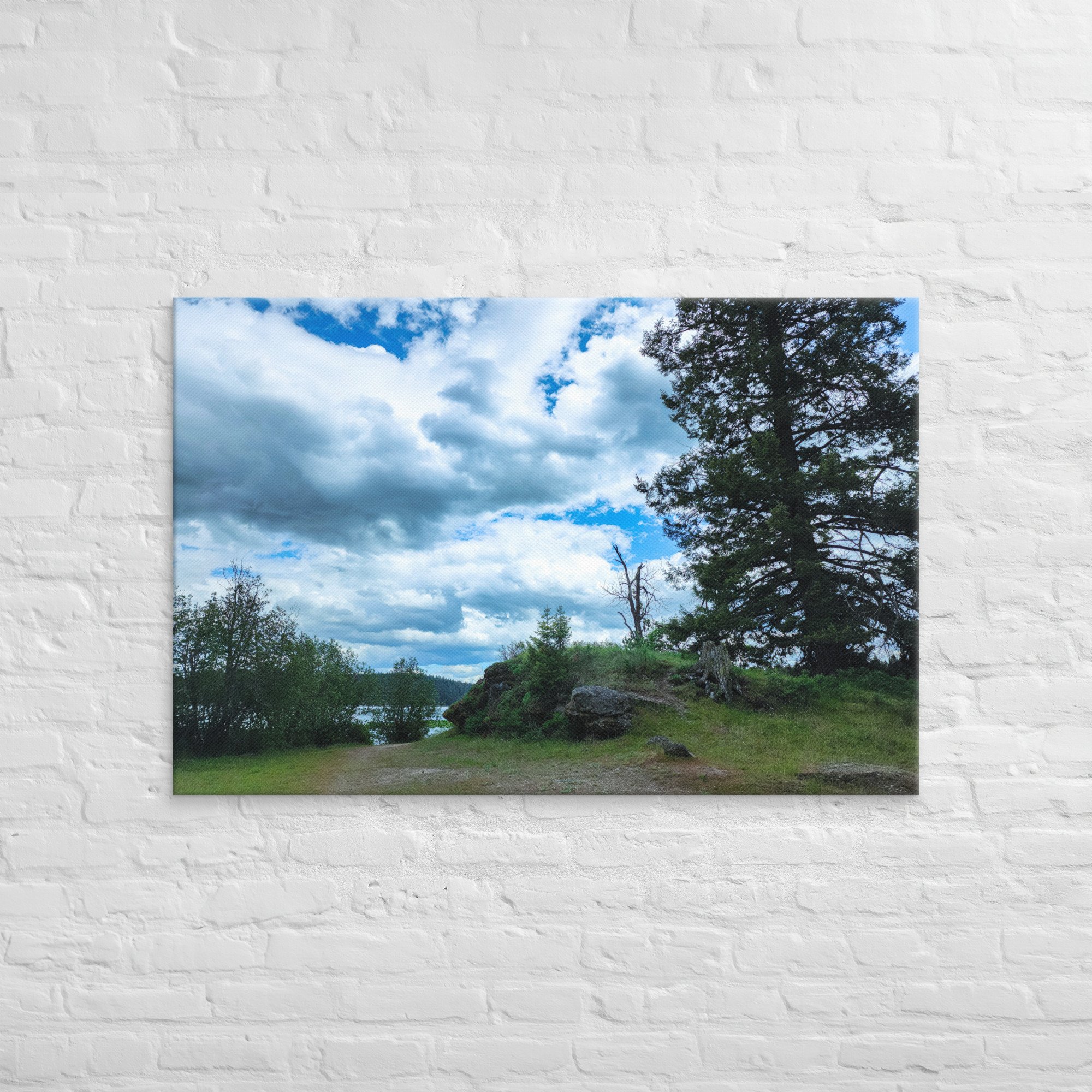 canvas-(in)-32x48-front-682a74d971cd9.jpg