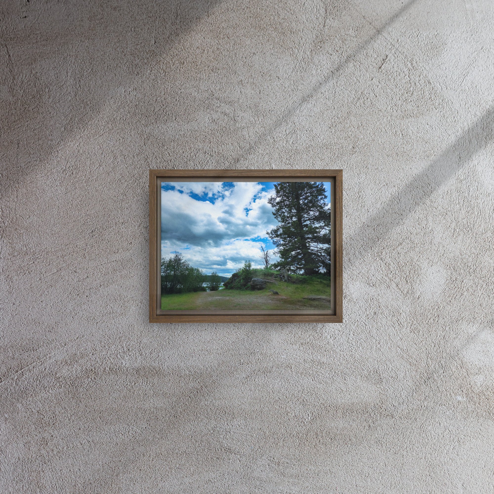framed-canvas-(in)-brown-9x12-front-682a75998bf10.jpg