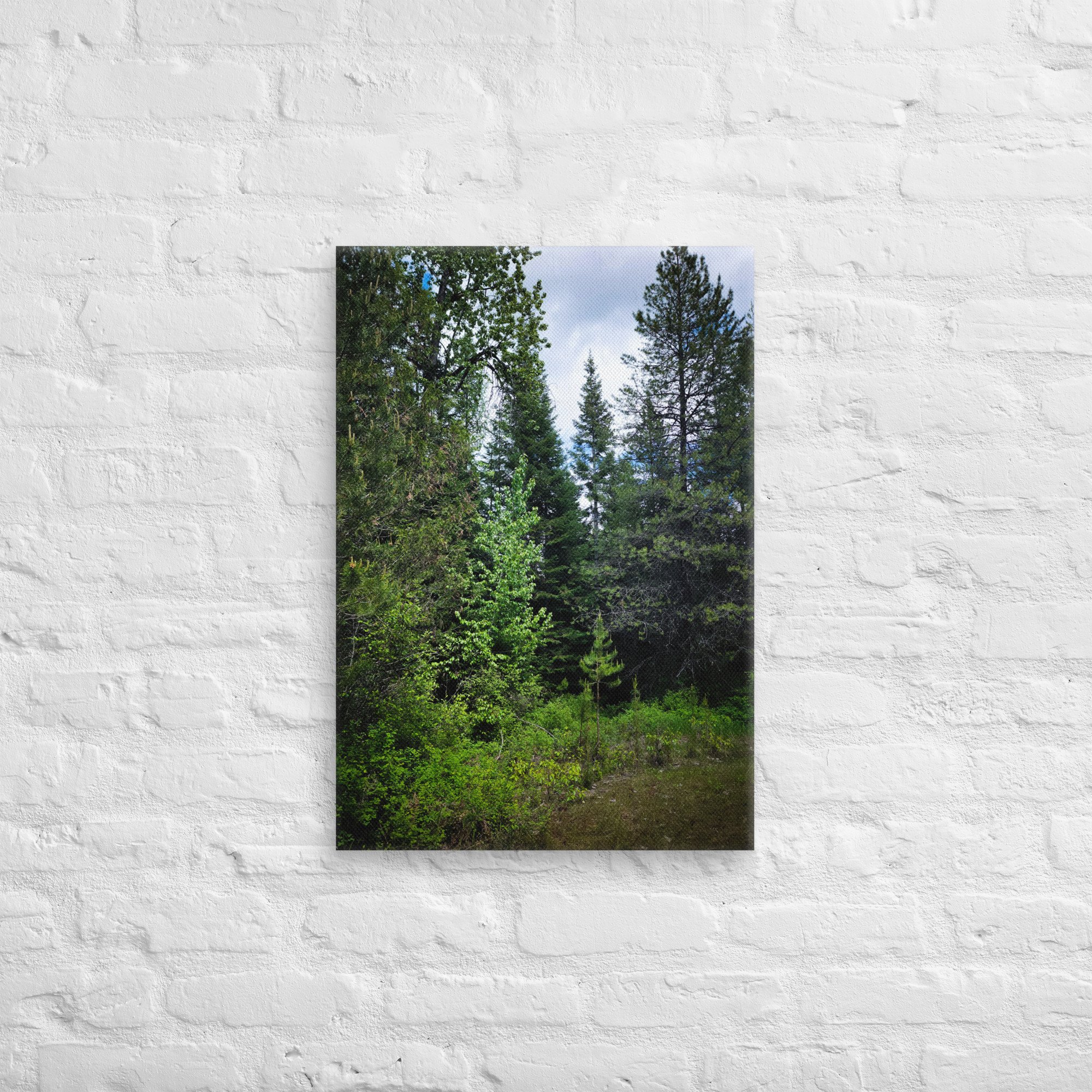 canvas-(in)-18x26-front-682a7714c5d42.jpg
