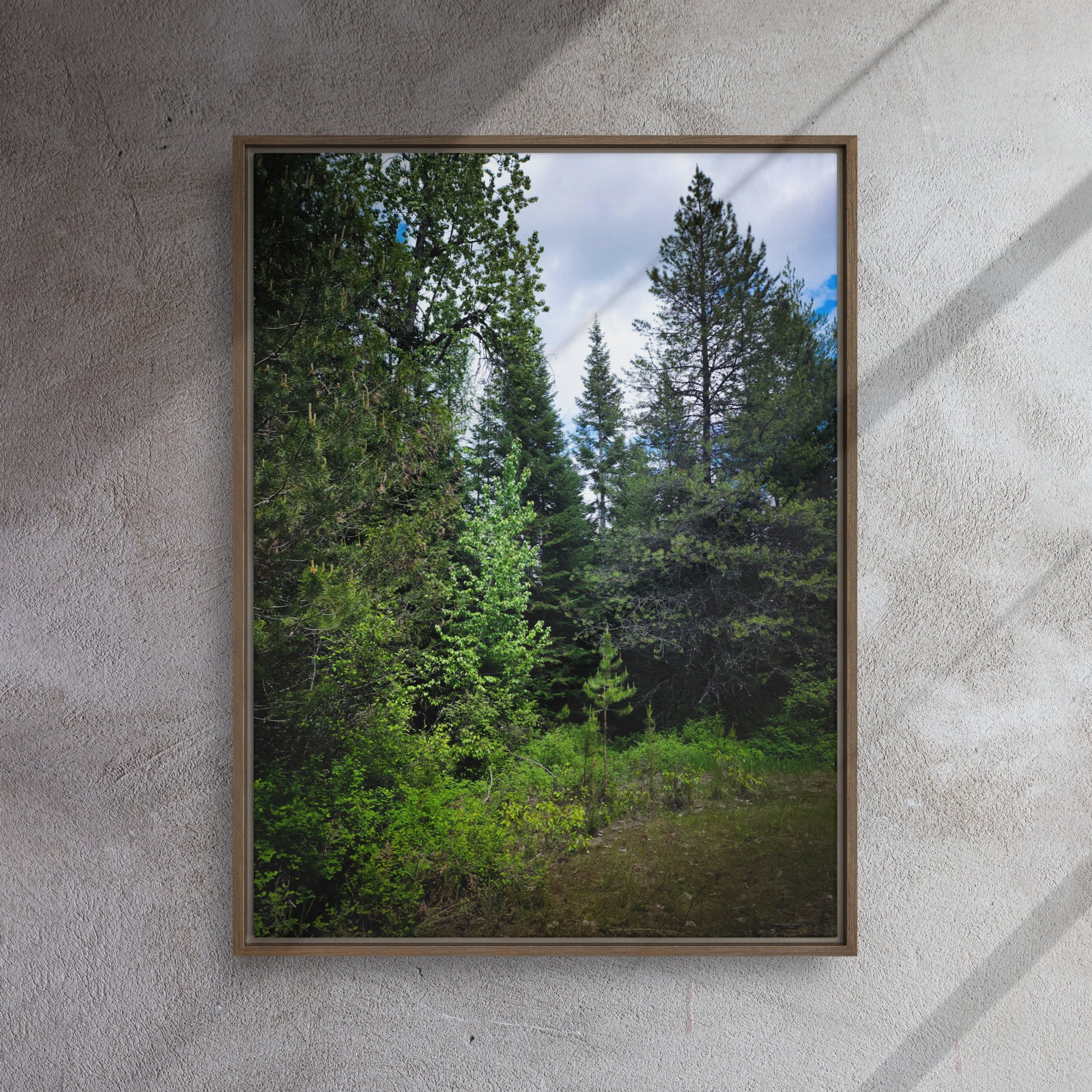 framed-canvas-(in)-brown-24x32-front-682a7882bfc2f.jpg