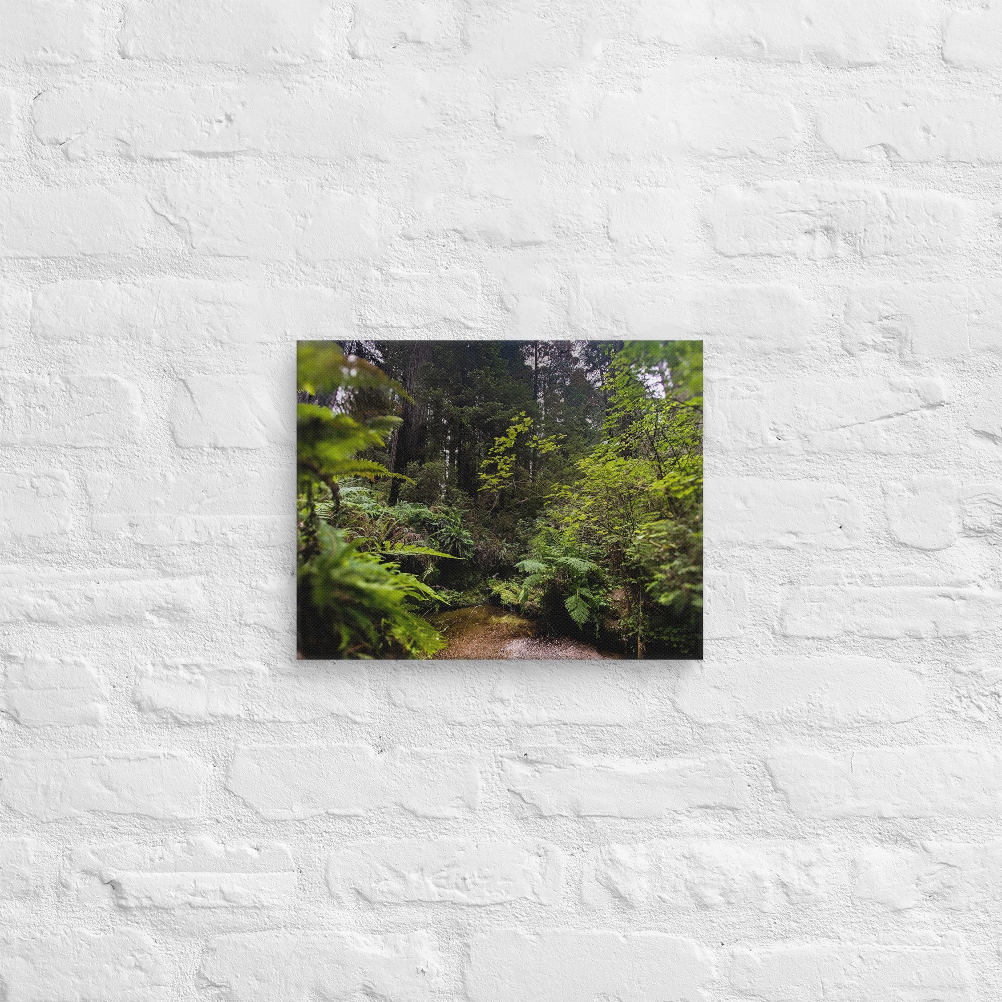 canvas-(in)-11x14-front-682a7a43077f9.jpg