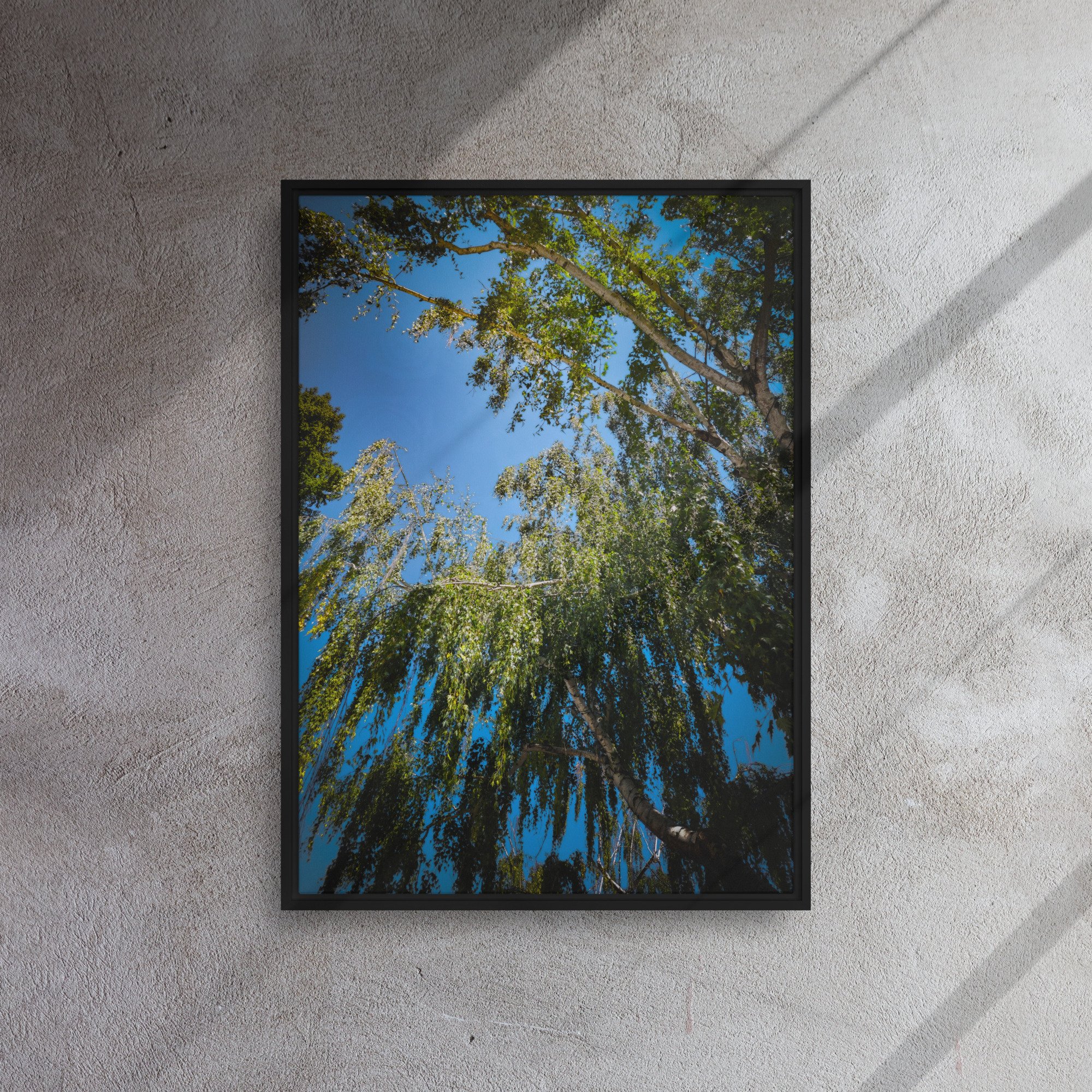 framed-canvas-(in)-black-20x28-front-682a7ba824668.jpg