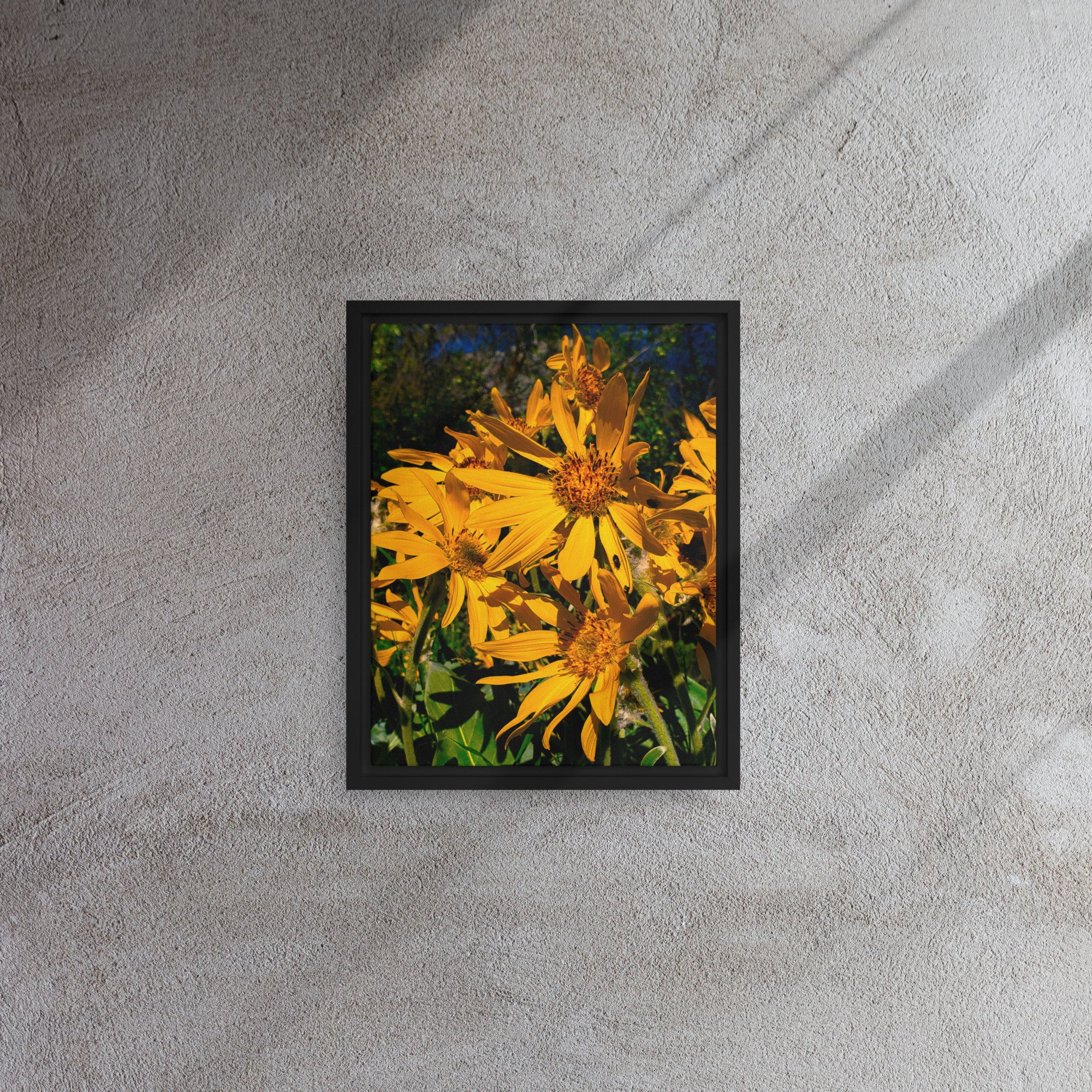 framed-canvas-(in)-black-11x14-front-682a87ef01b77.jpg