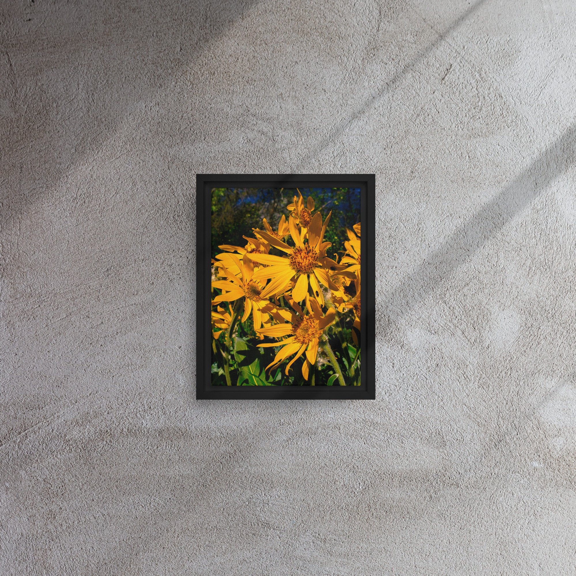framed-canvas-(in)-black-9x12-front-682a87ef0218d.jpg