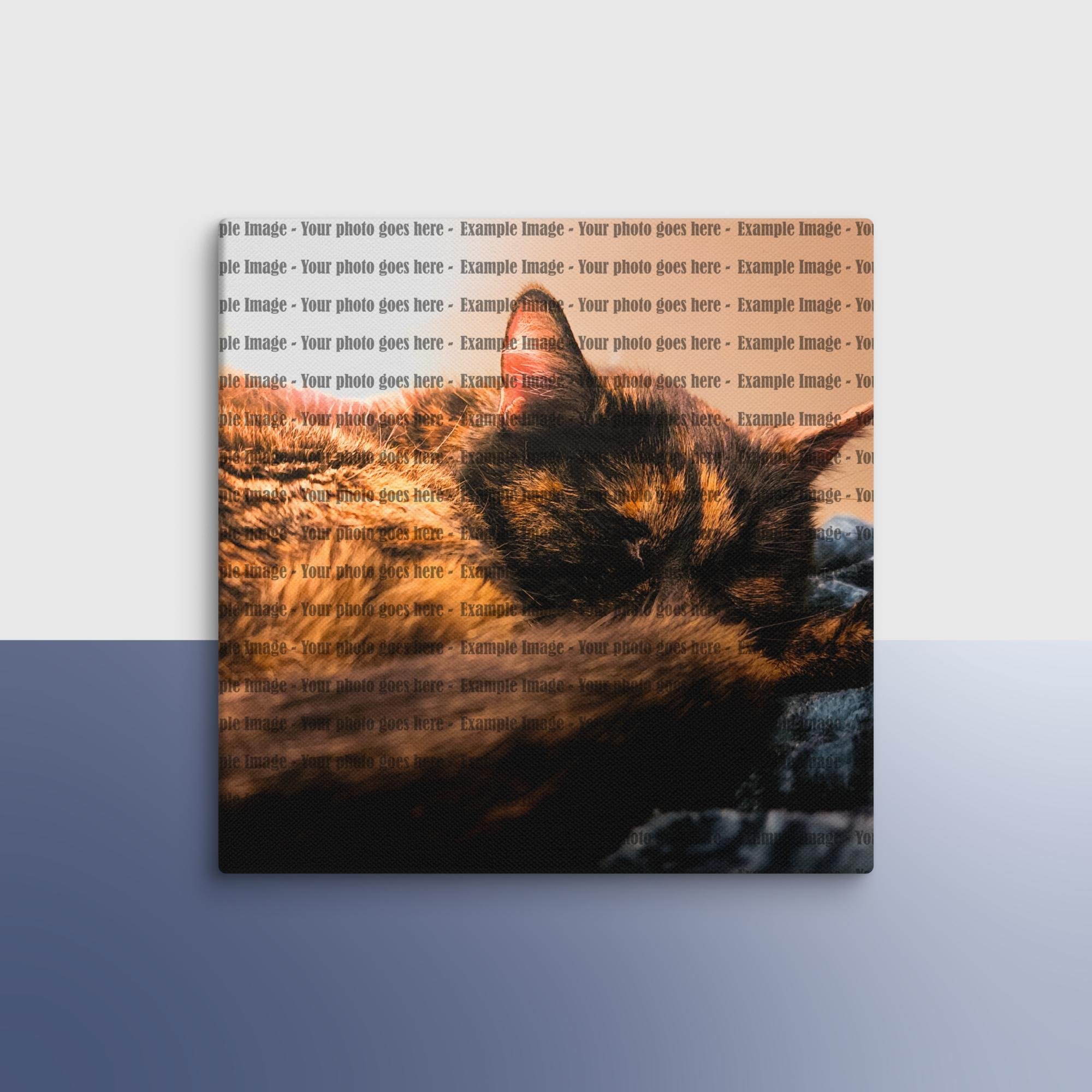 canvas-(in)-16x16-wall-682f8902a01e8.jpg