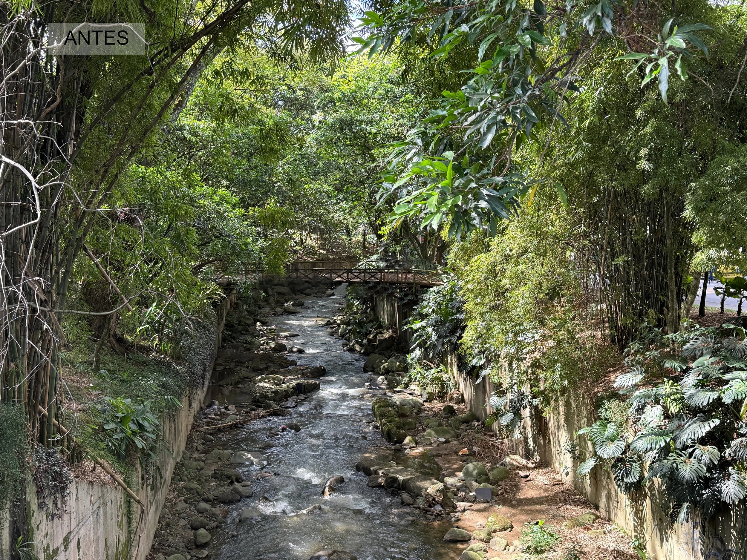 Imaginario panoramica del puente antes de intervención.