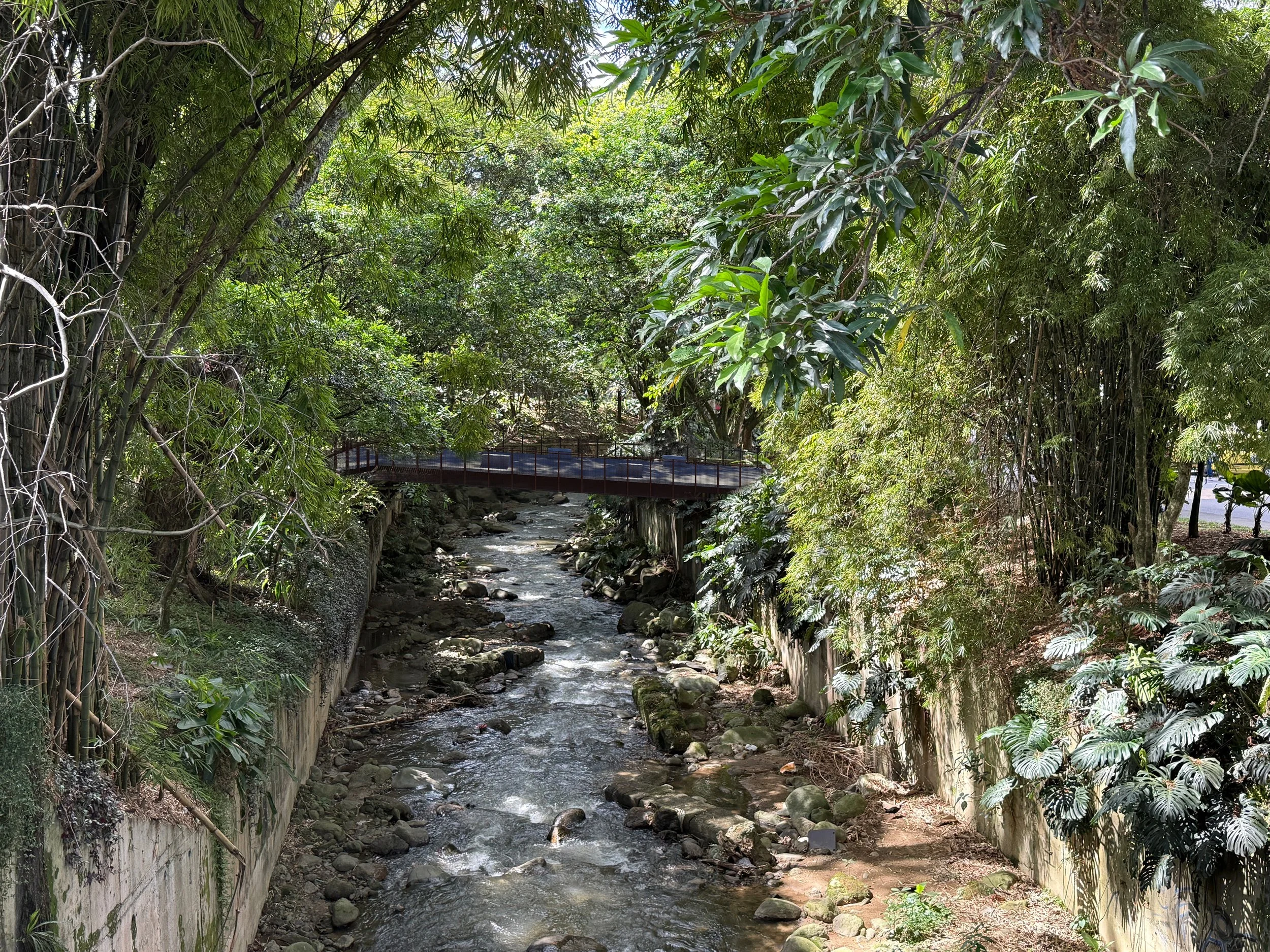 Renovación puente peatonal HMUA