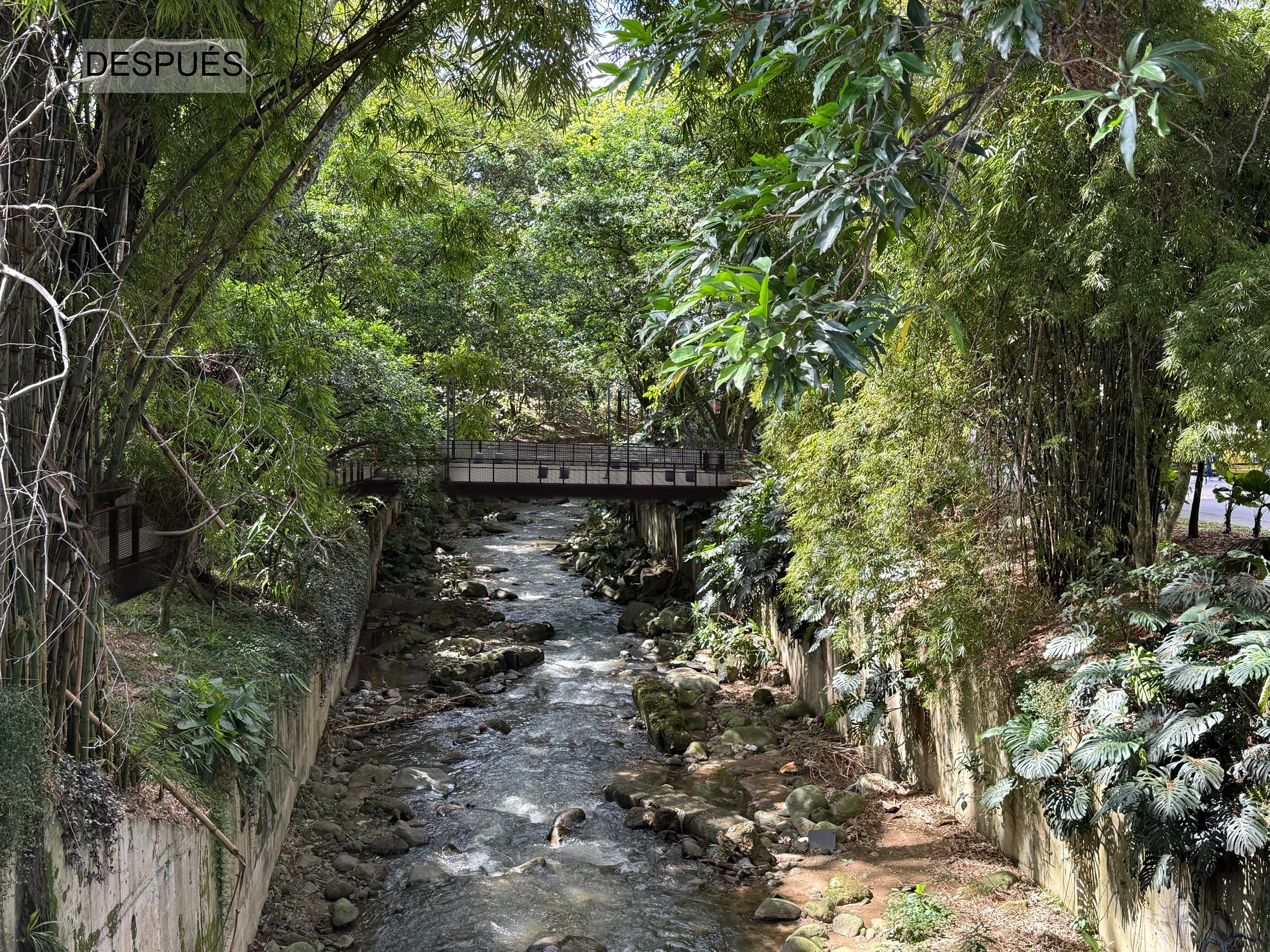 Imaginario panoramica del puente después de intervención.