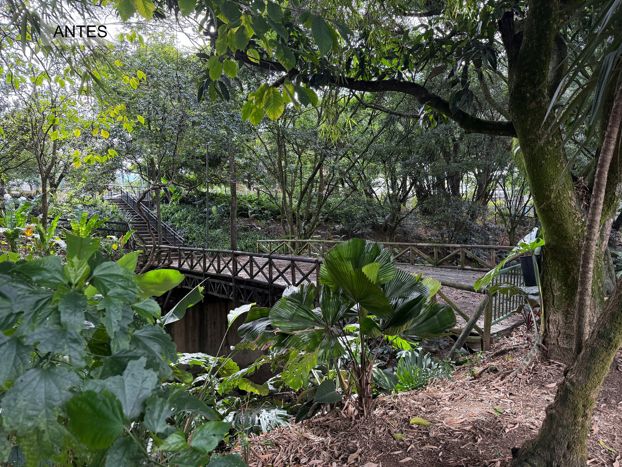 Imaginario exterior del puente antes de intervención.