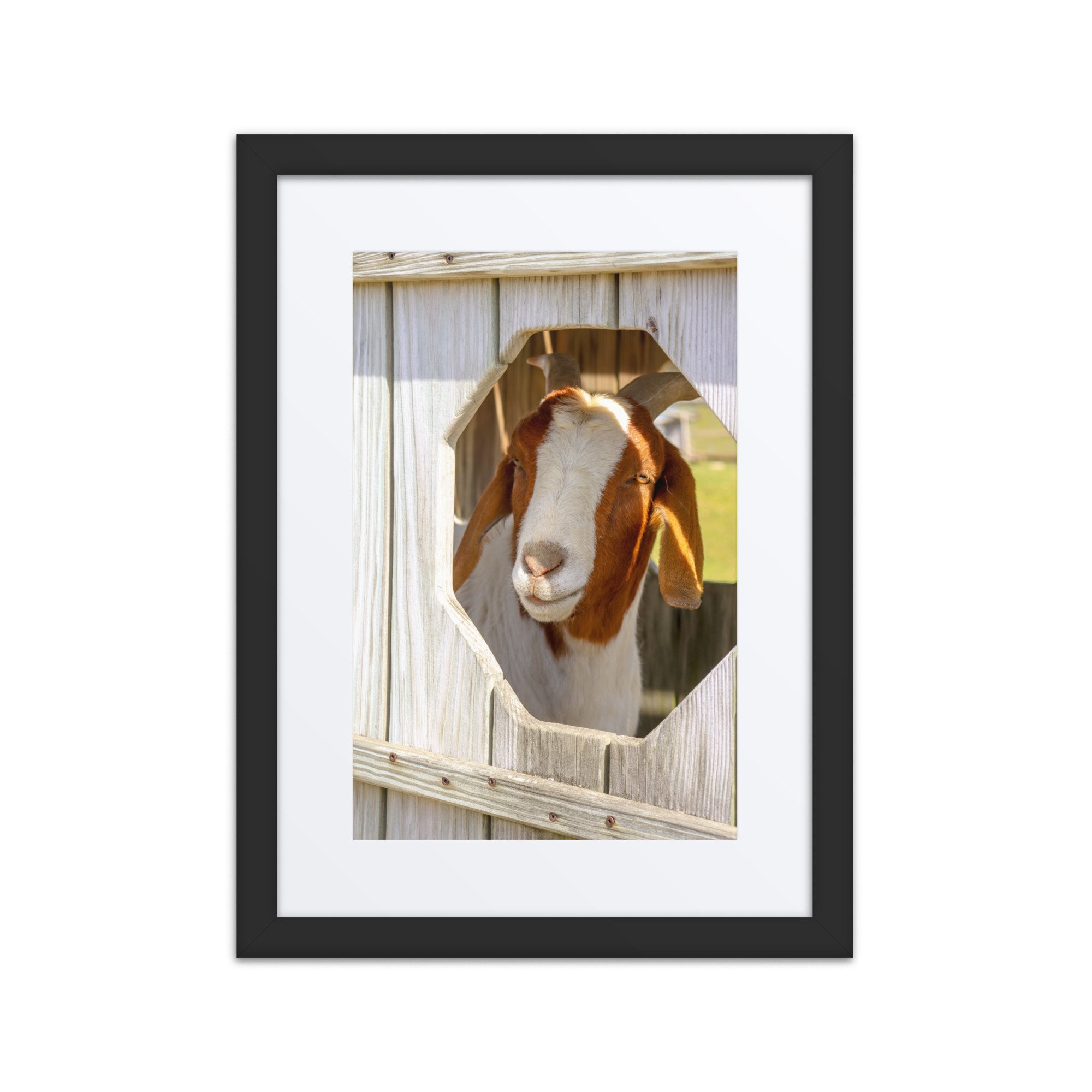 matte-paper-framed-poster-with-mat-(in)-black-12x16-front-680194d168f90.jpg
