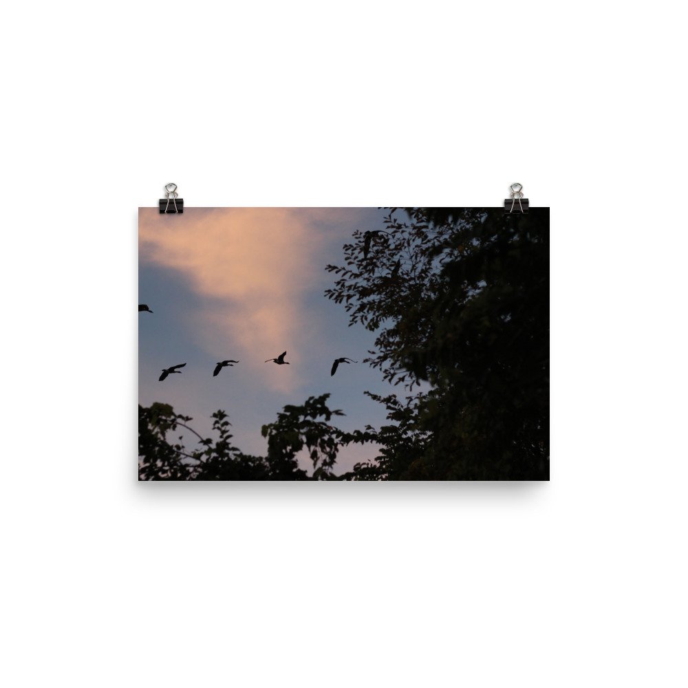 enhanced-matte-paper-poster-(in)-12x18-transparent-68019f5aba4e3.jpg