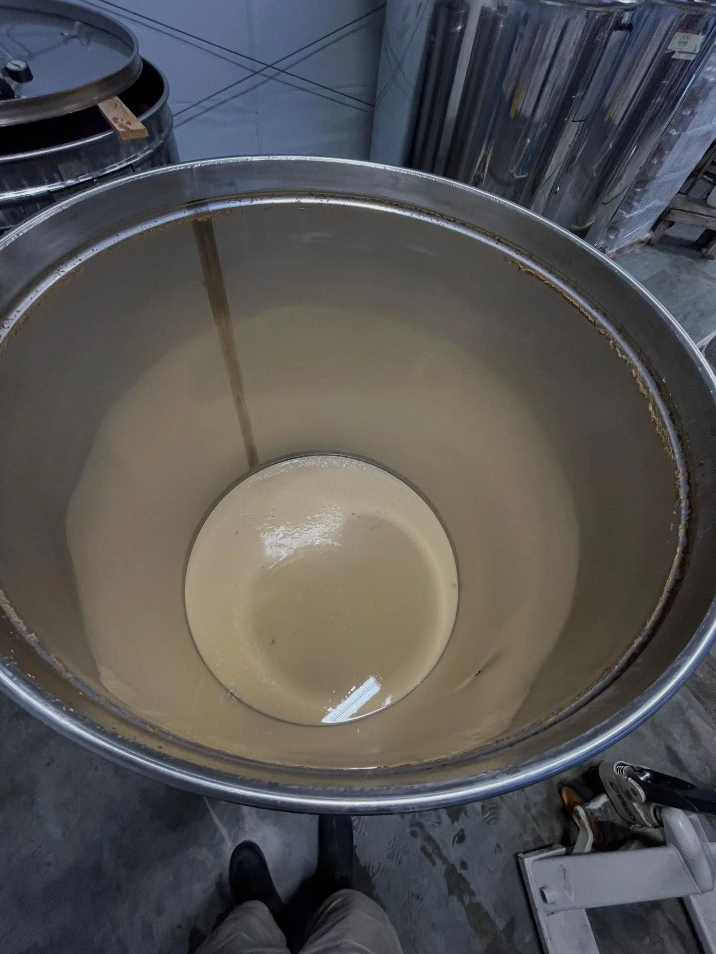 The lees from our 2025 Sauvignon Blanc, grown by Lanza Vineyards in Lanza Valley, California. Fermented by our vintner right here in Bar Harbor. You can tell a lot about how a wine will be from the lees, this year’s Sauv Blanc will be light in