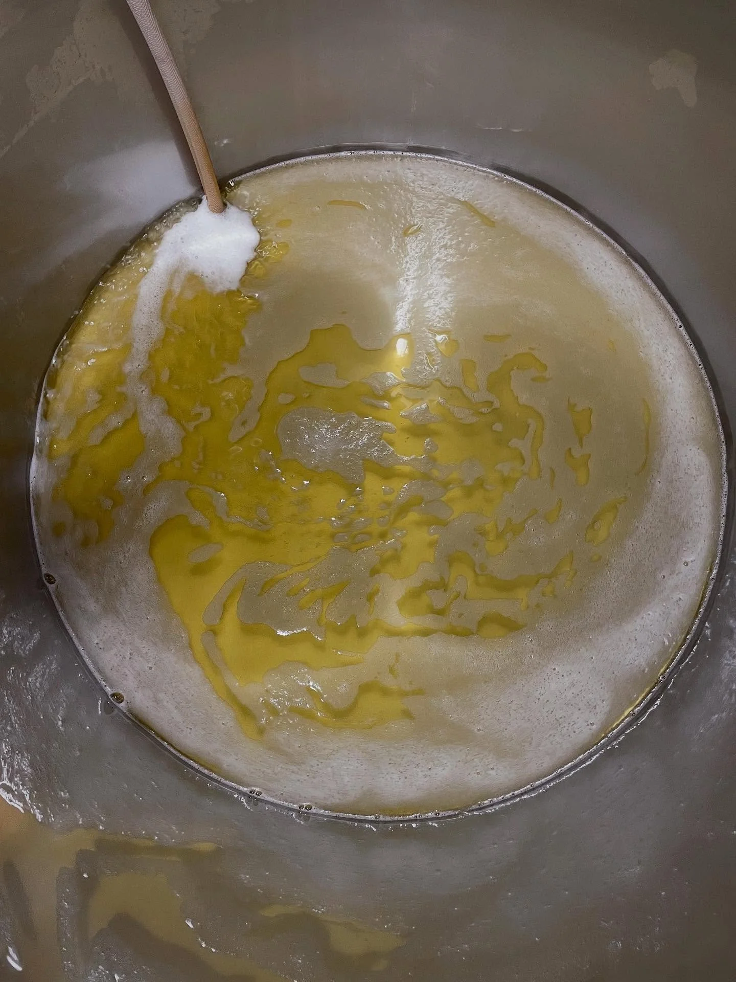 Last ferment of the 2025 season, Riesling from Lanza Valley, CA. Before fermenting we cold we cold settled the juice so drop out any debris left over from the pressings. Look at the clarity! 
#barharborwinery #wine #riesling #fall #2025 #mainewine #